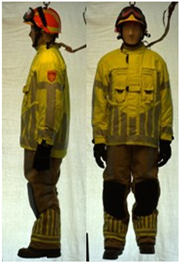 Biology 11 01813 i063