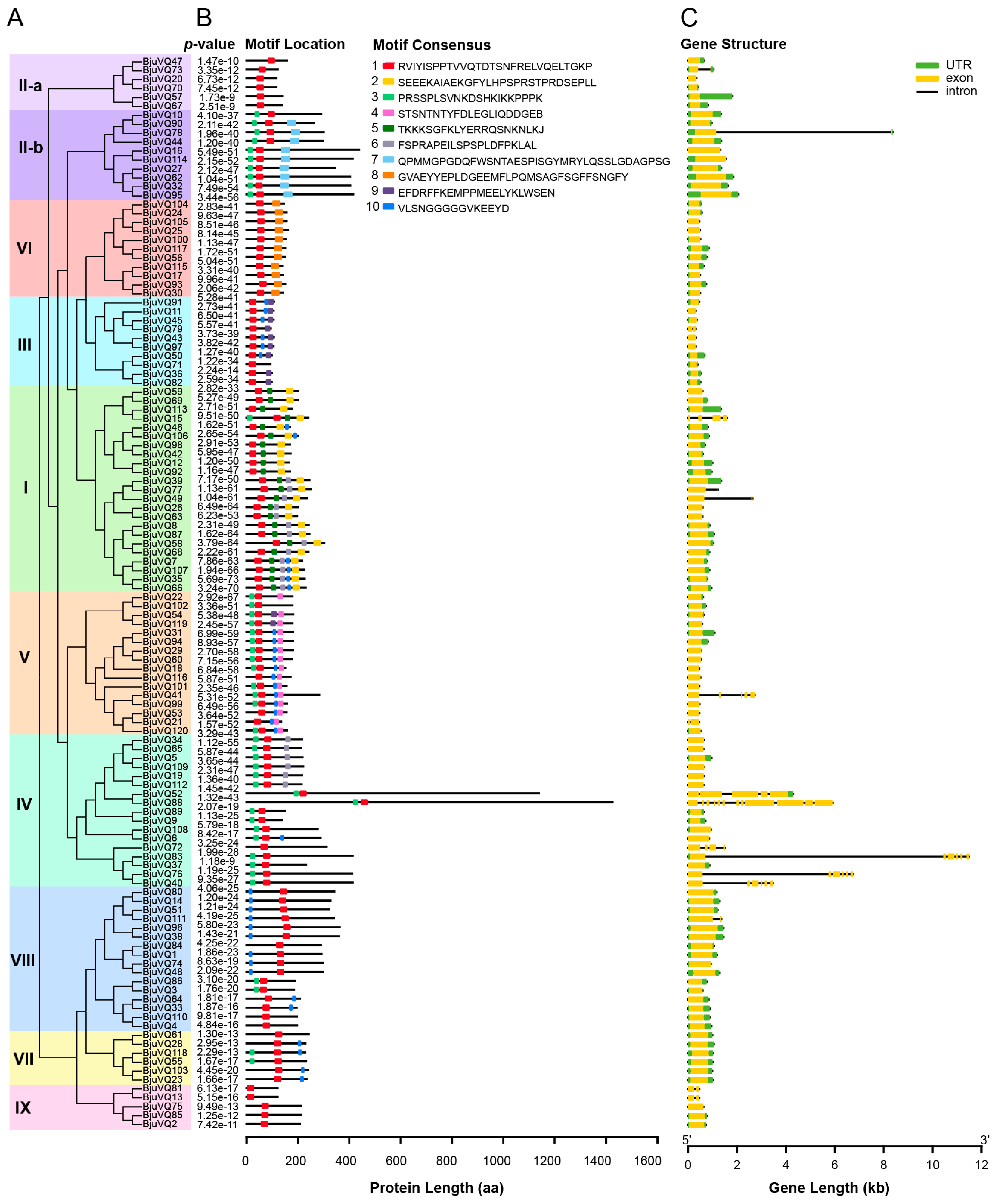 Biology 11 01814 g003