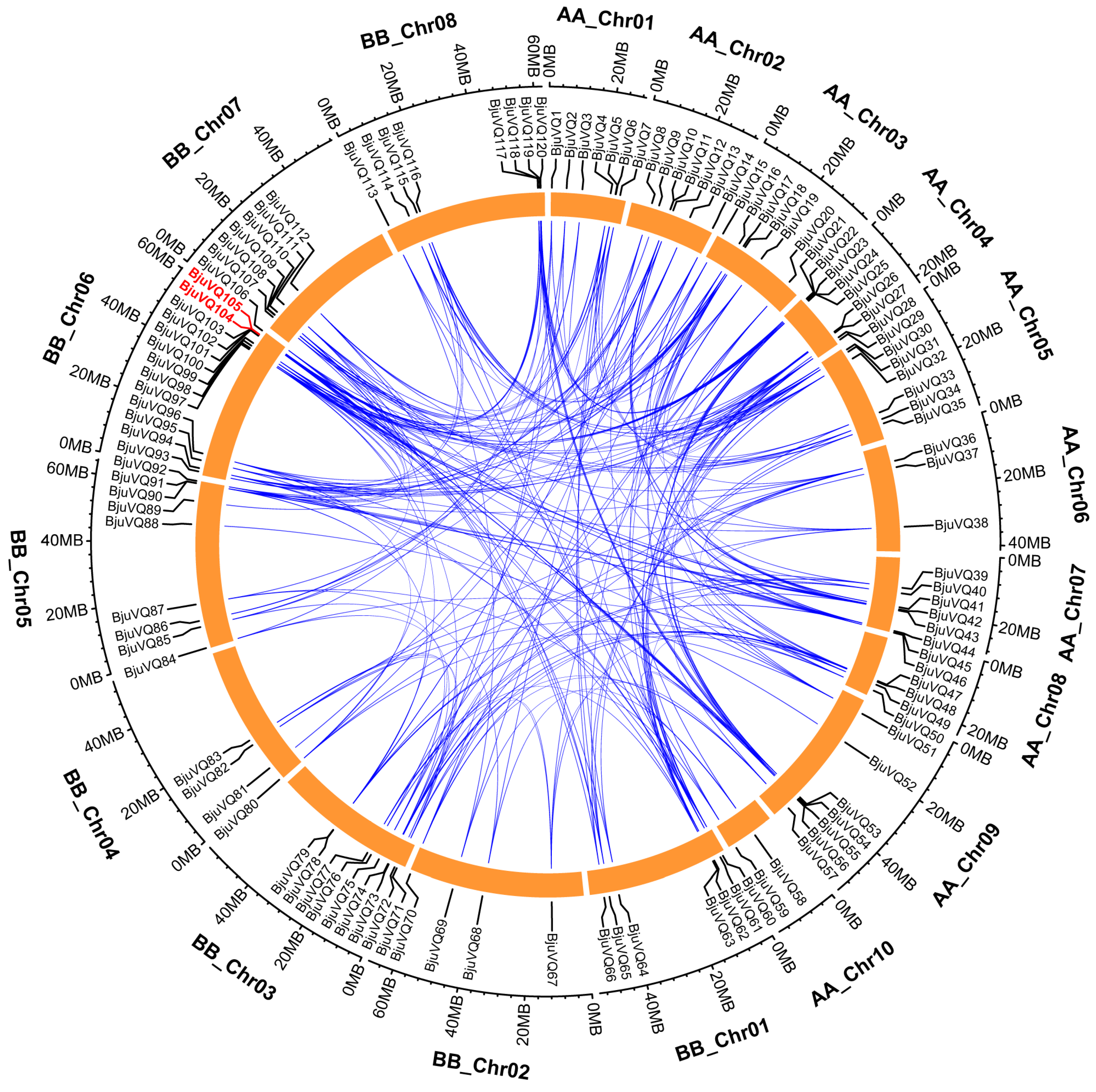 Biology 11 01814 g005