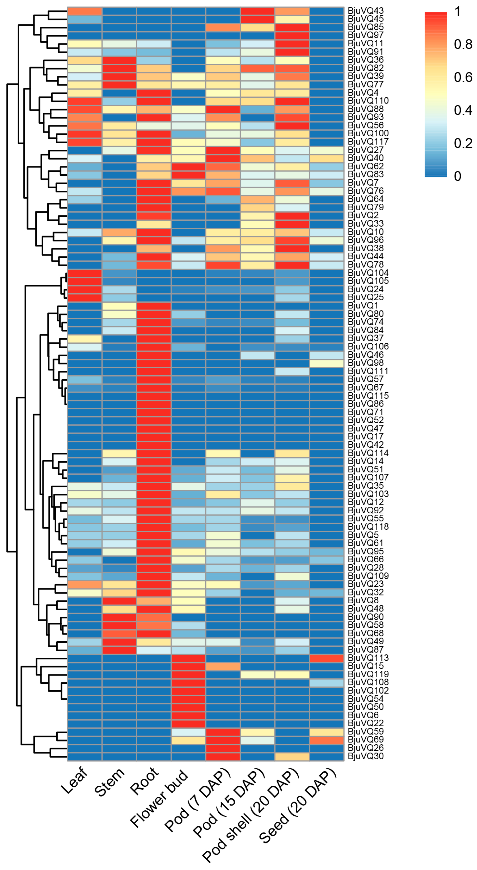 Biology 11 01814 g007