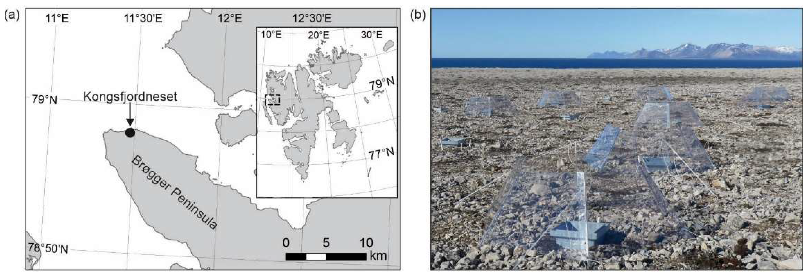 Biology 11 01819 g001