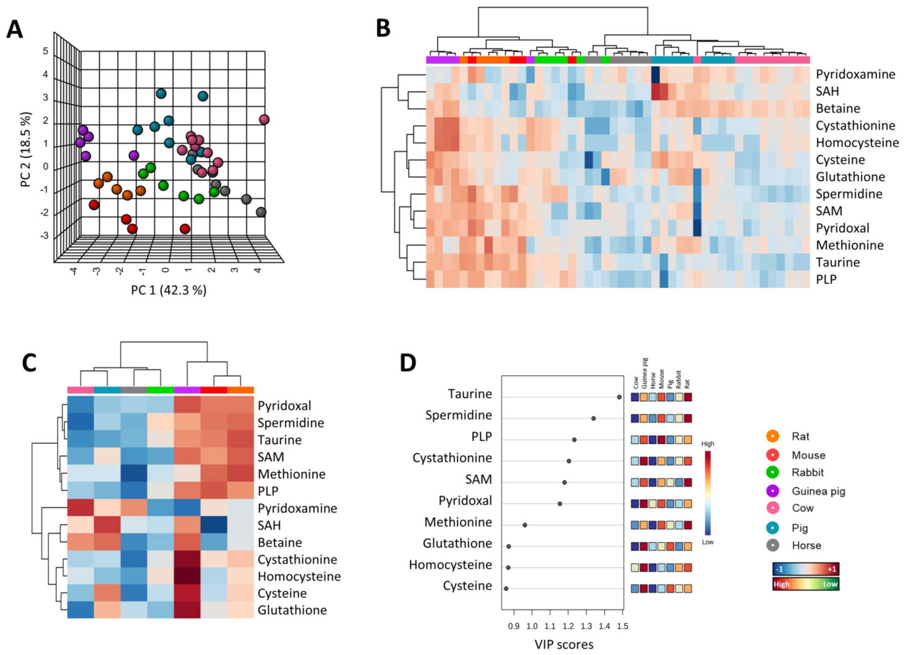 Biology 11 01821 g001 Biology 11 01821 g001