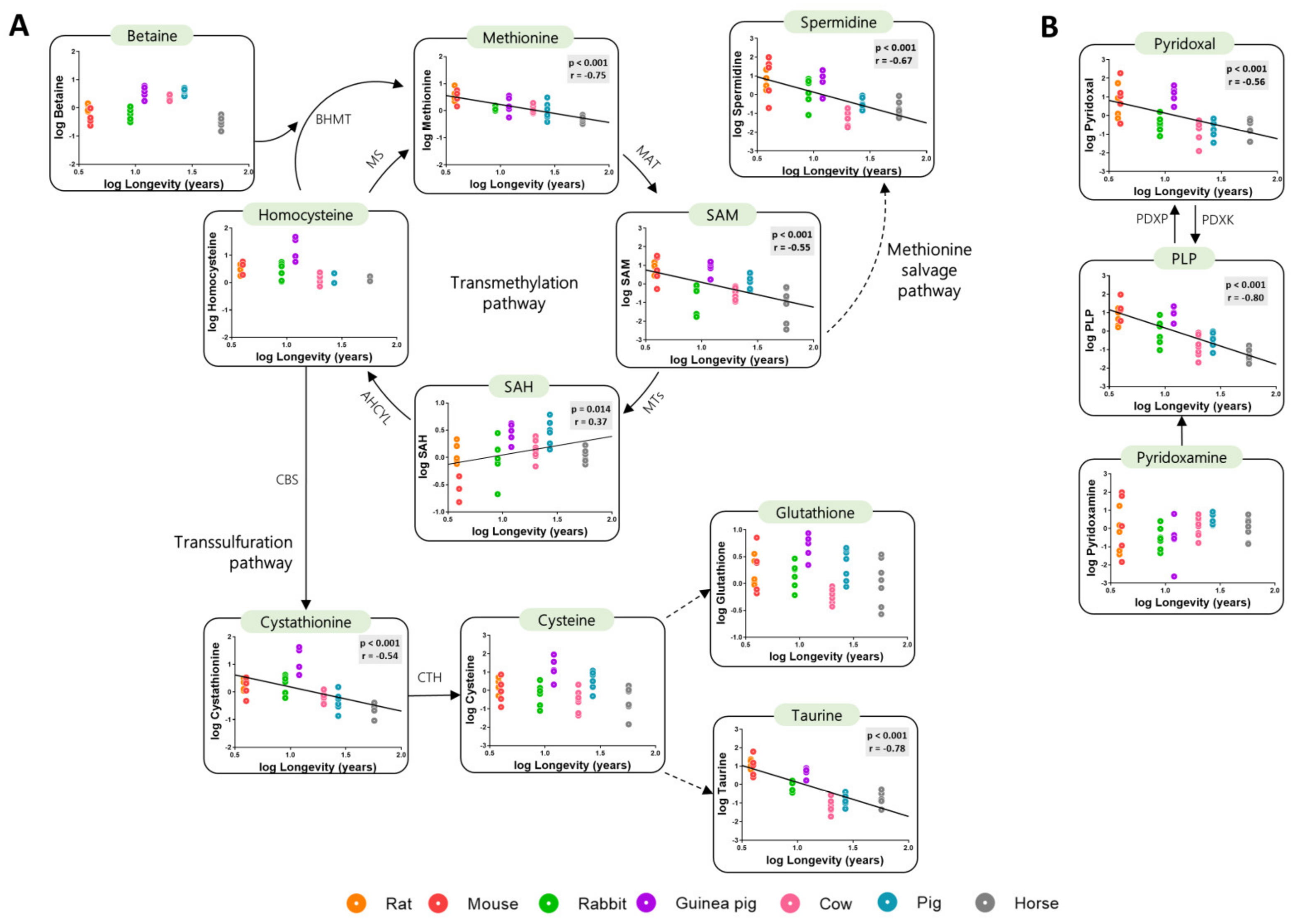 Biology 11 01821 g002 Biology 11 01821 g002