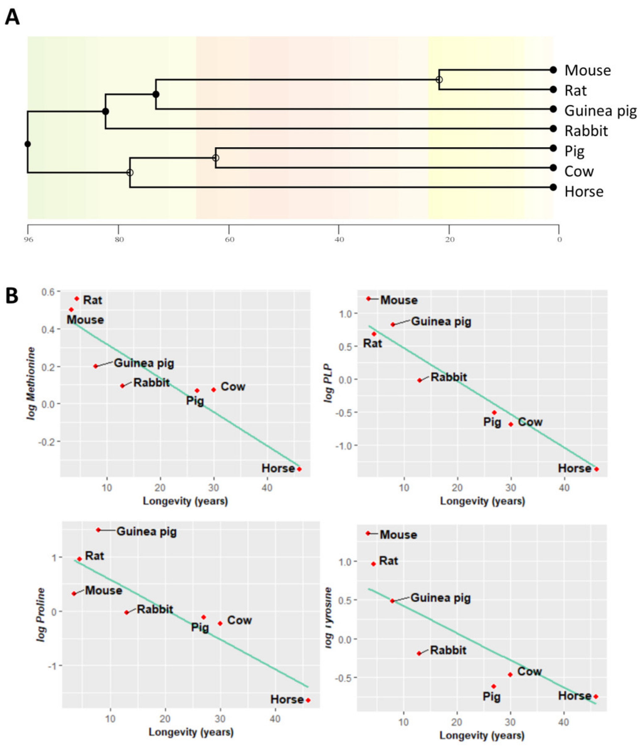 Biology 11 01821 g006 Biology 11 01821 g006