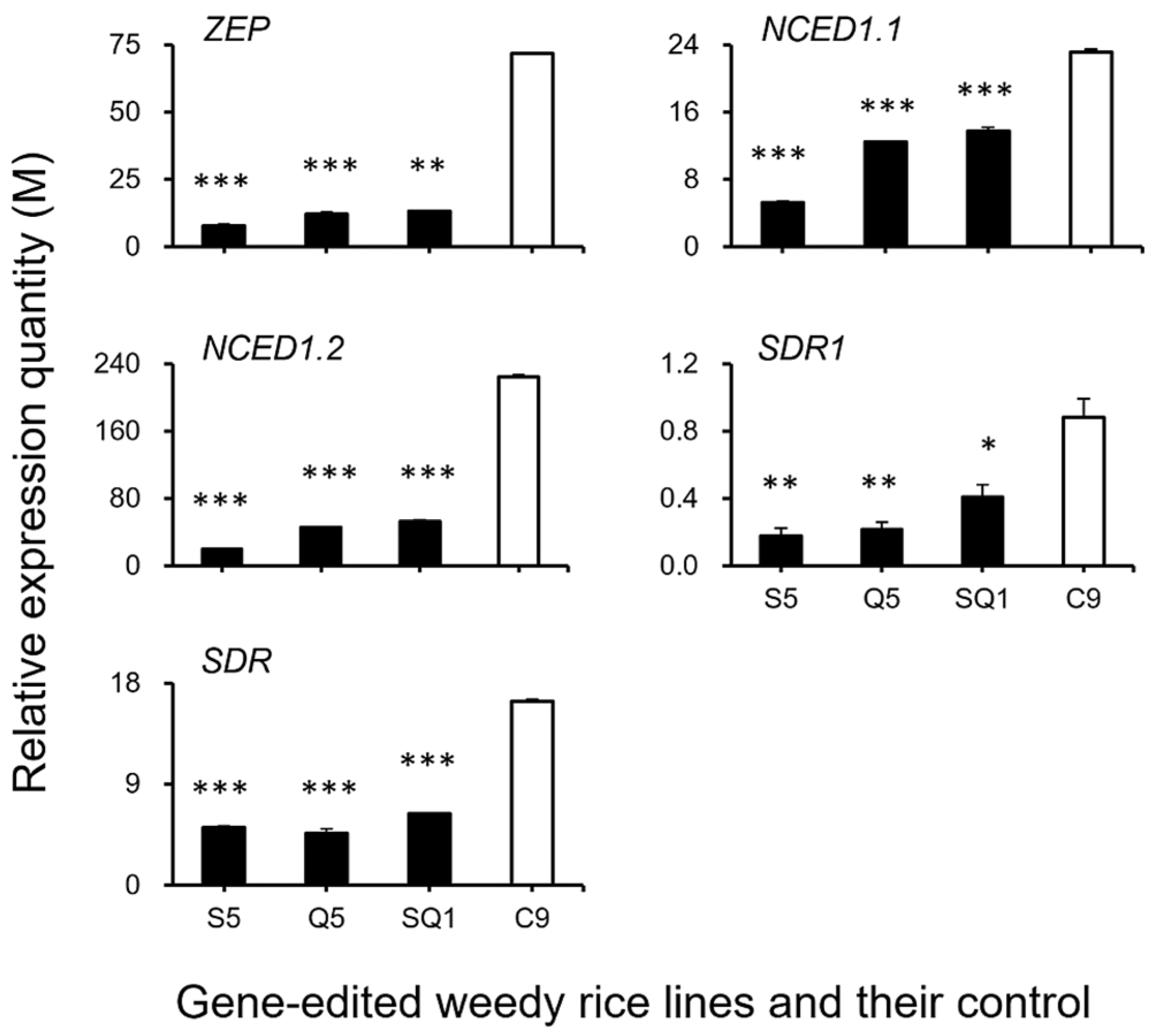 Biology 11 01823 g009 Biology 11 01823 g009