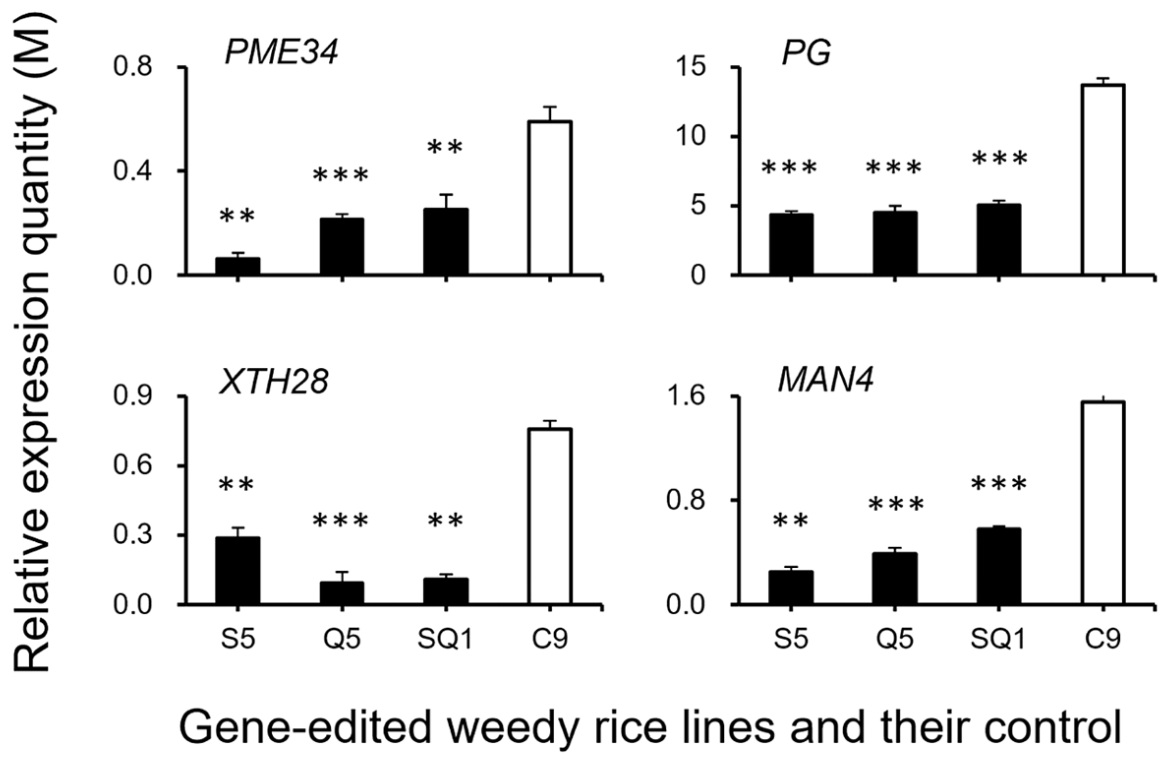 Biology 11 01823 g011 Biology 11 01823 g011