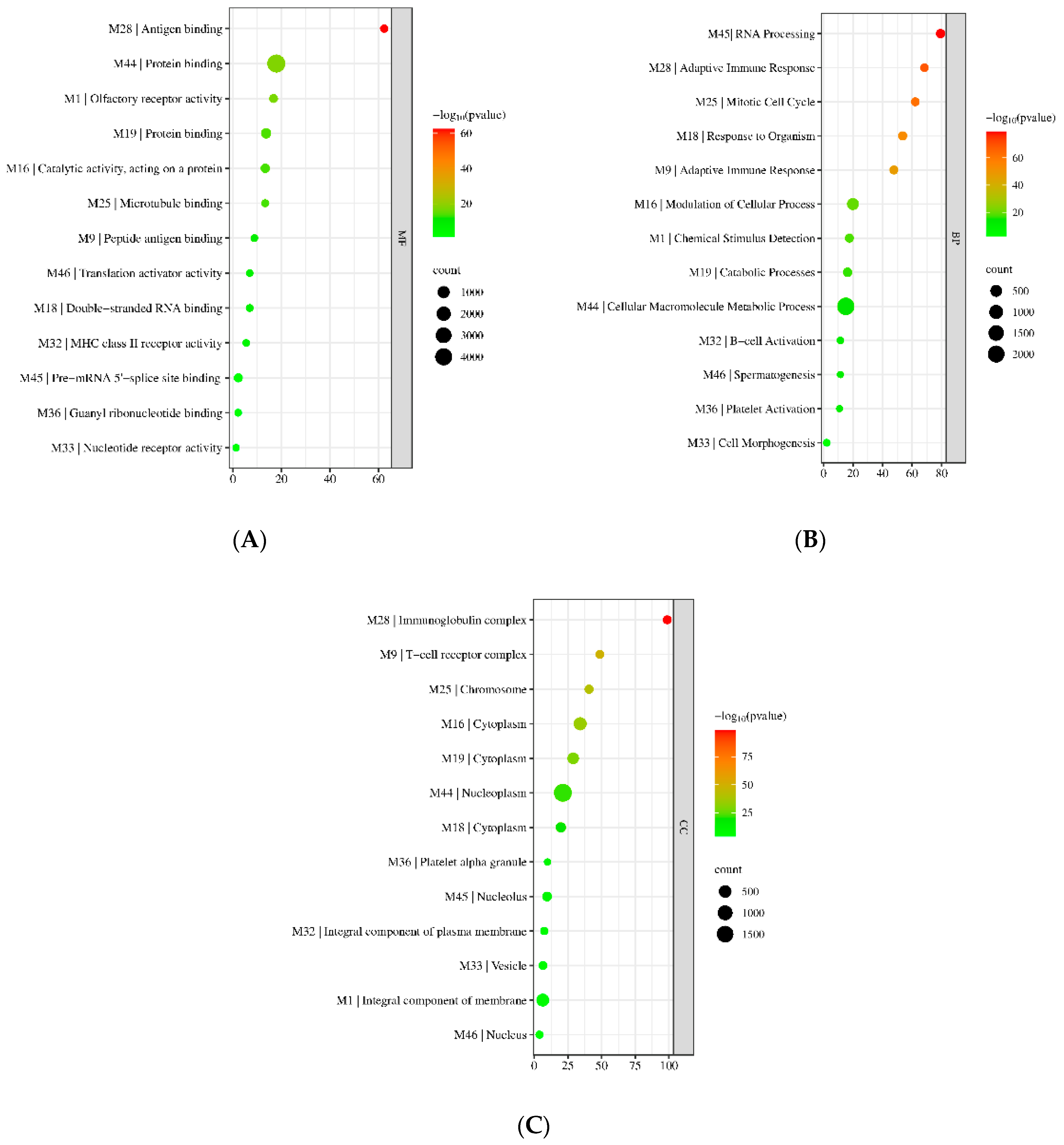 Biology 11 01827 g005