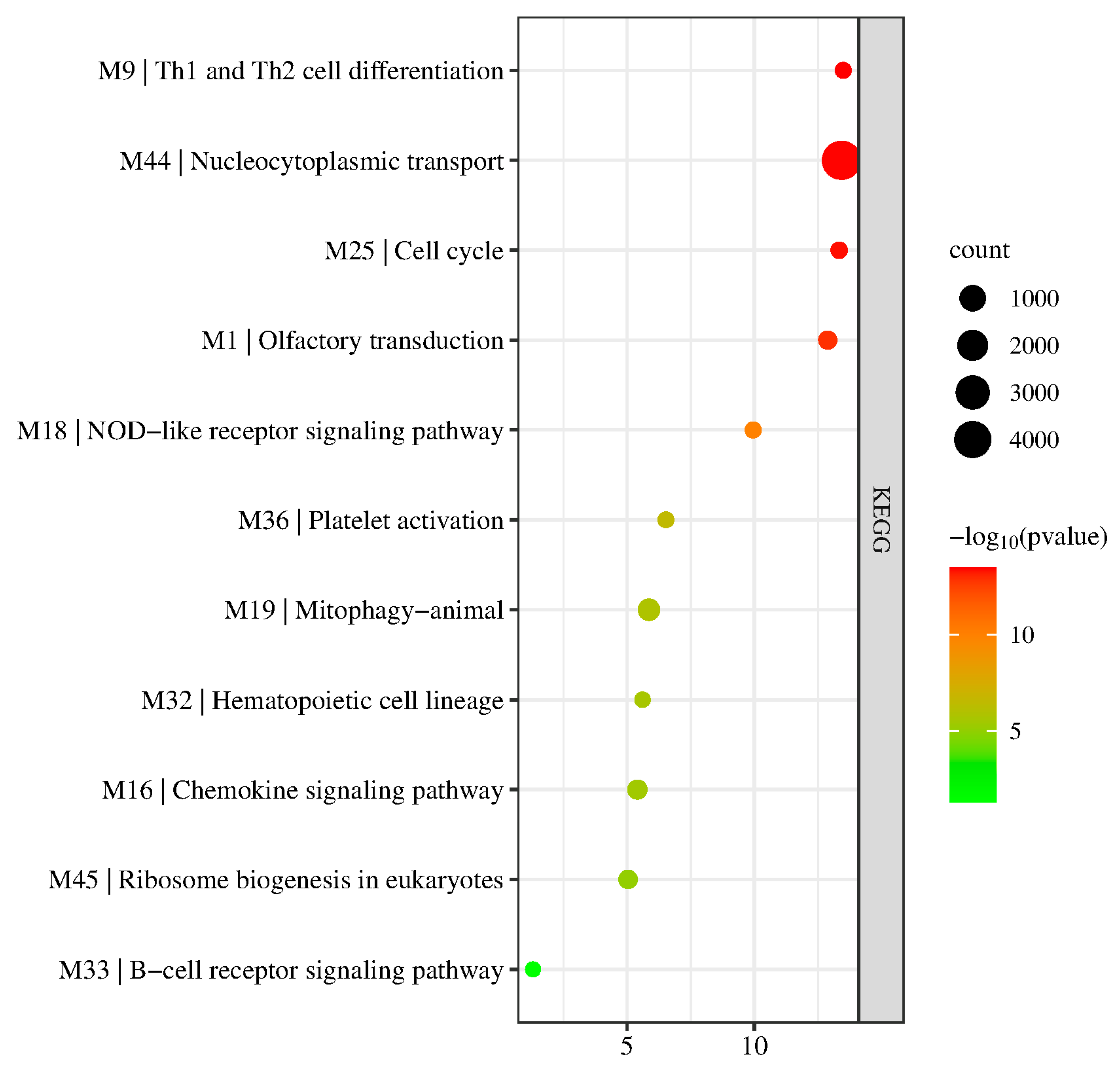 Biology 11 01827 g006