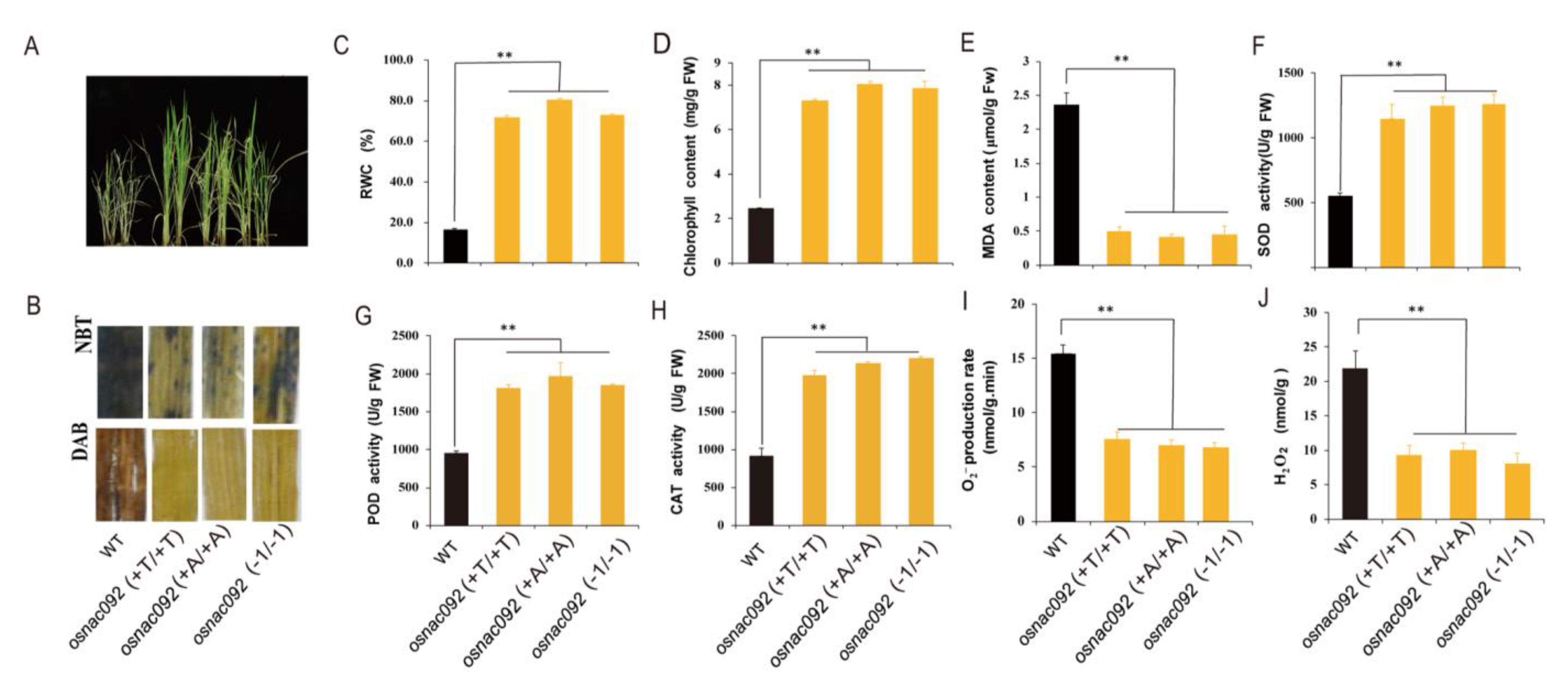 Biology 11 01830 g003