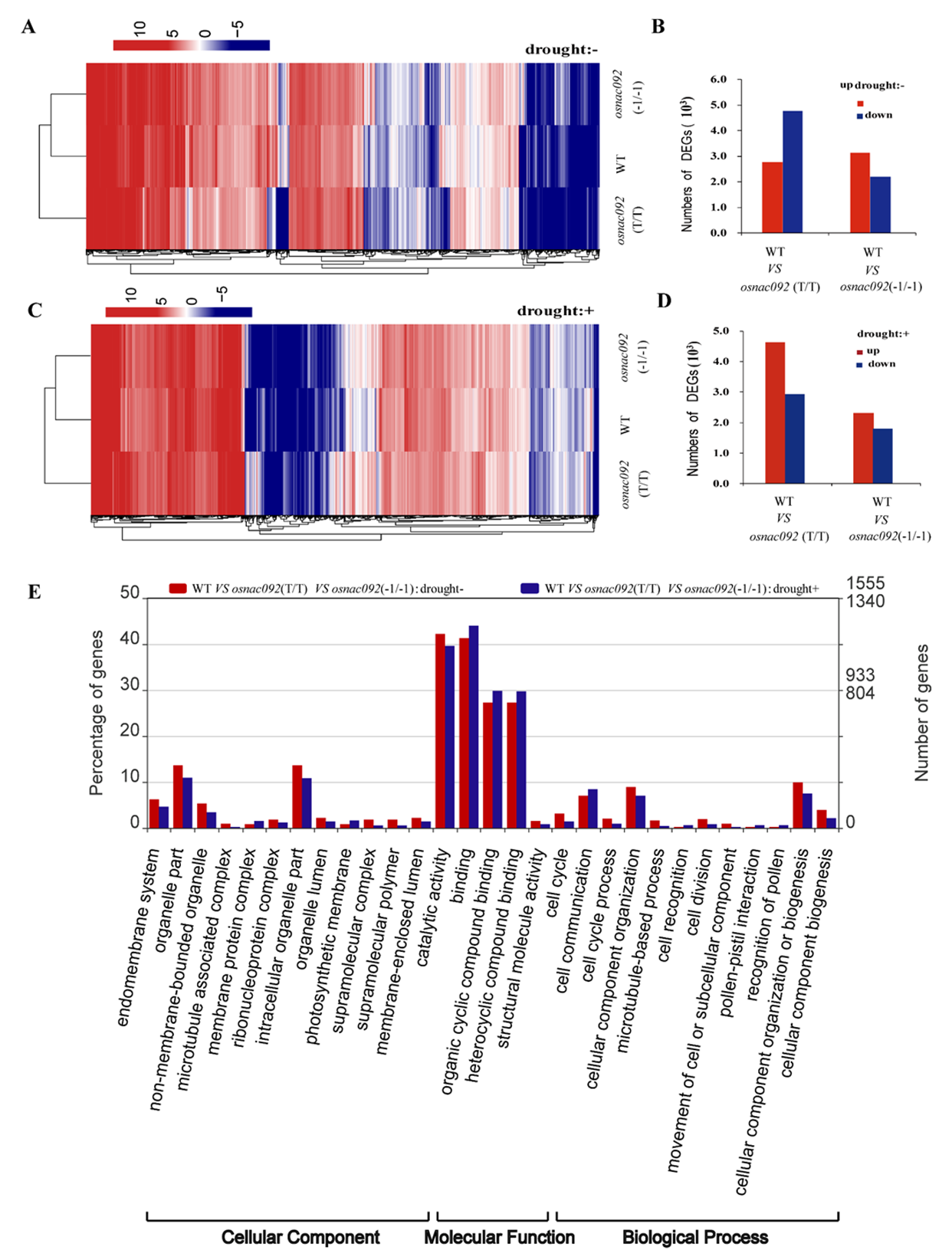 Biology 11 01830 g004
