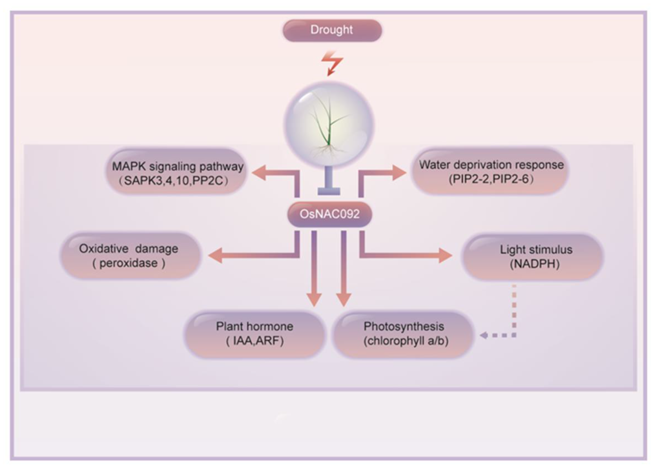 Biology 11 01830 g007