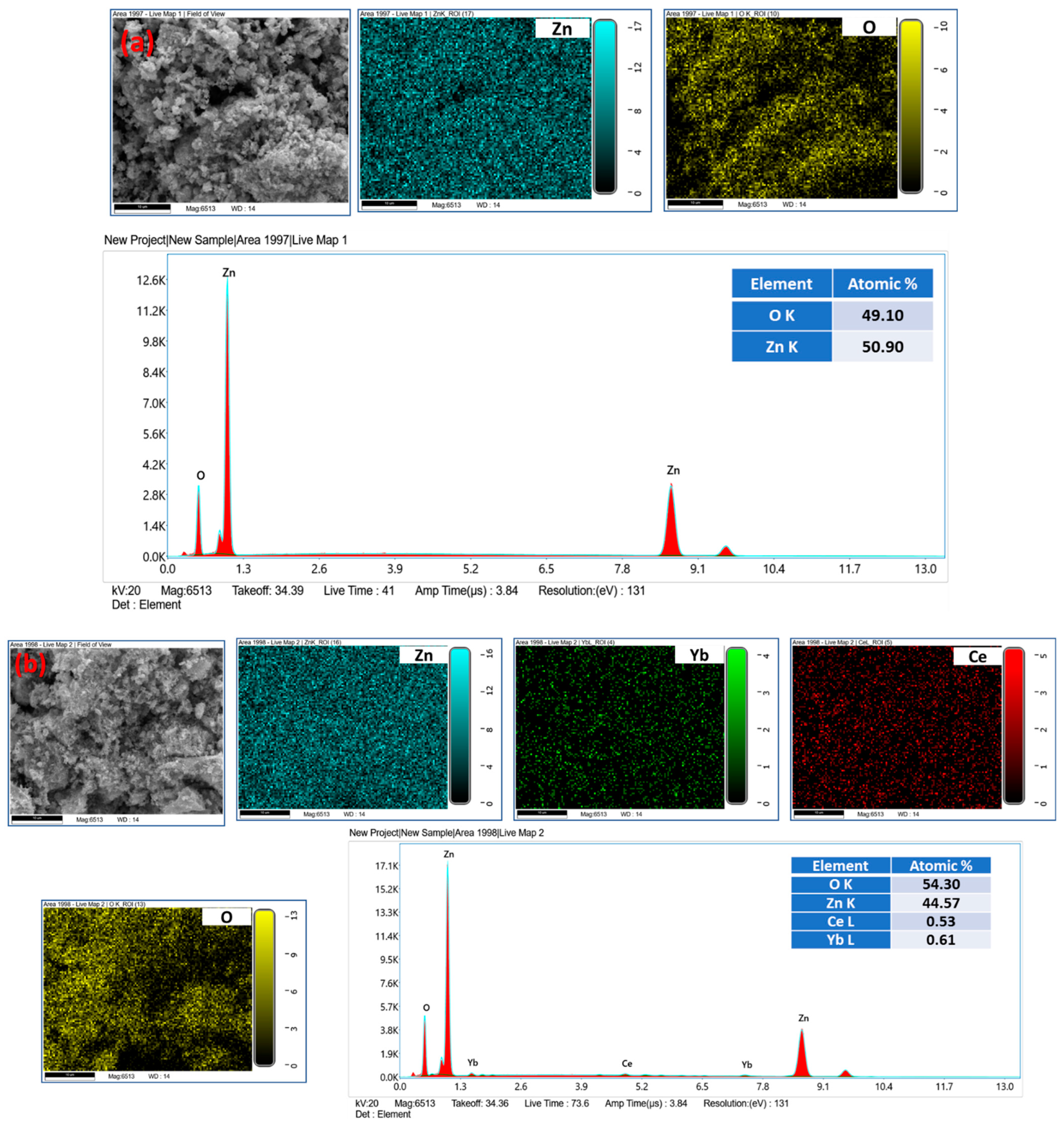 Biology 11 01836 g001a Biology 11 01836 g001a