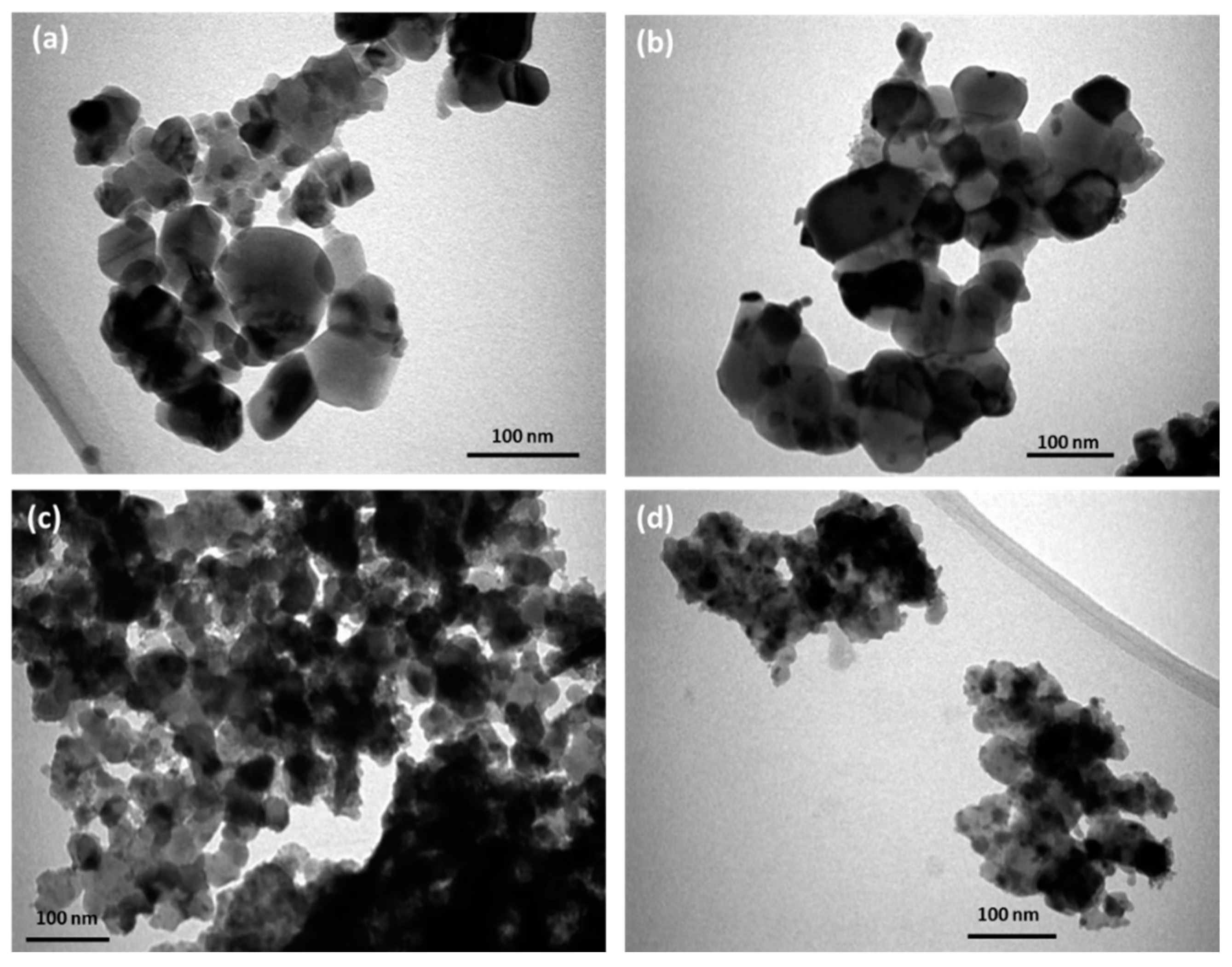 Biology 11 01836 g002 Biology 11 01836 g002