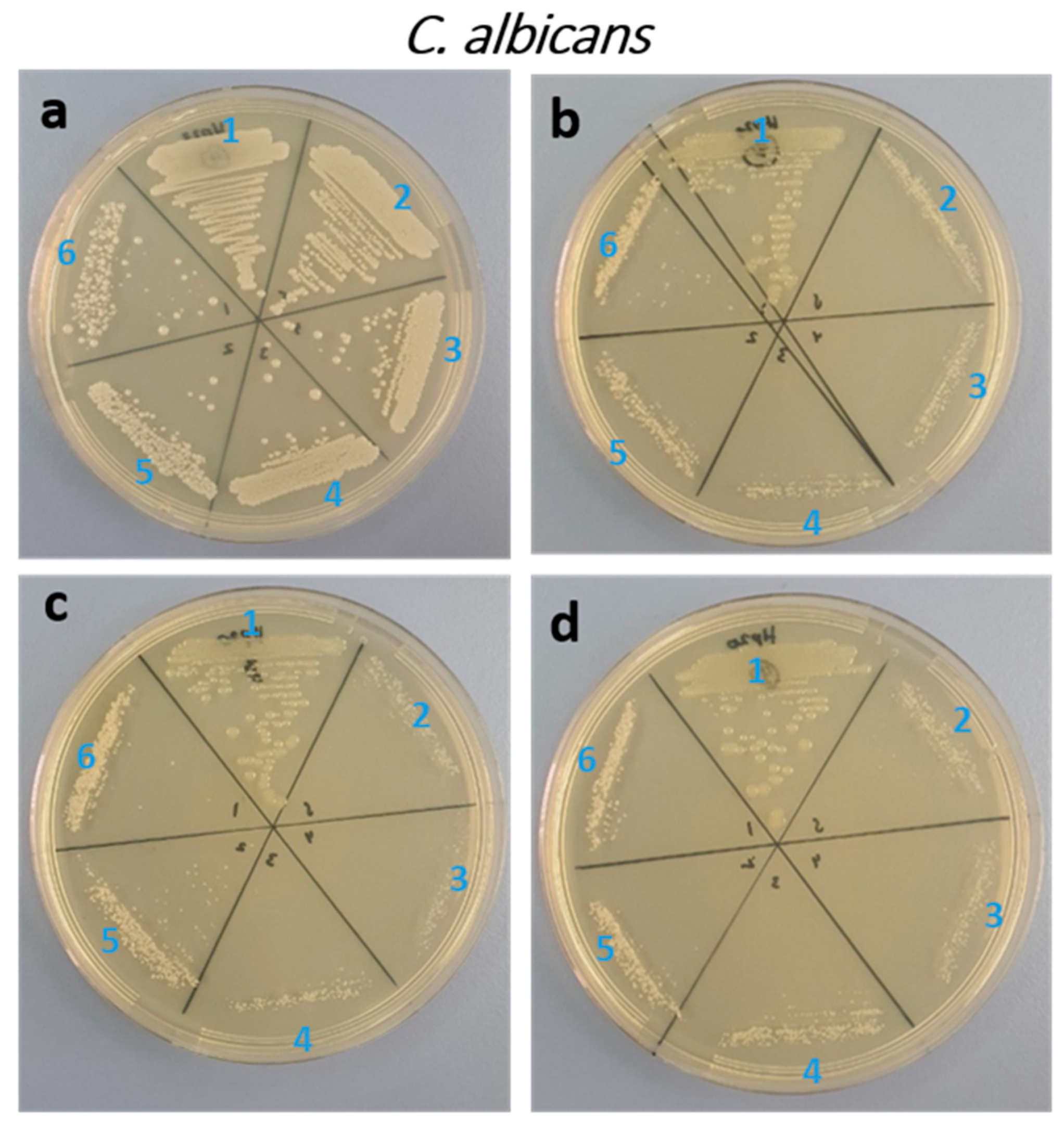 Biology 11 01836 g005 Biology 11 01836 g005
