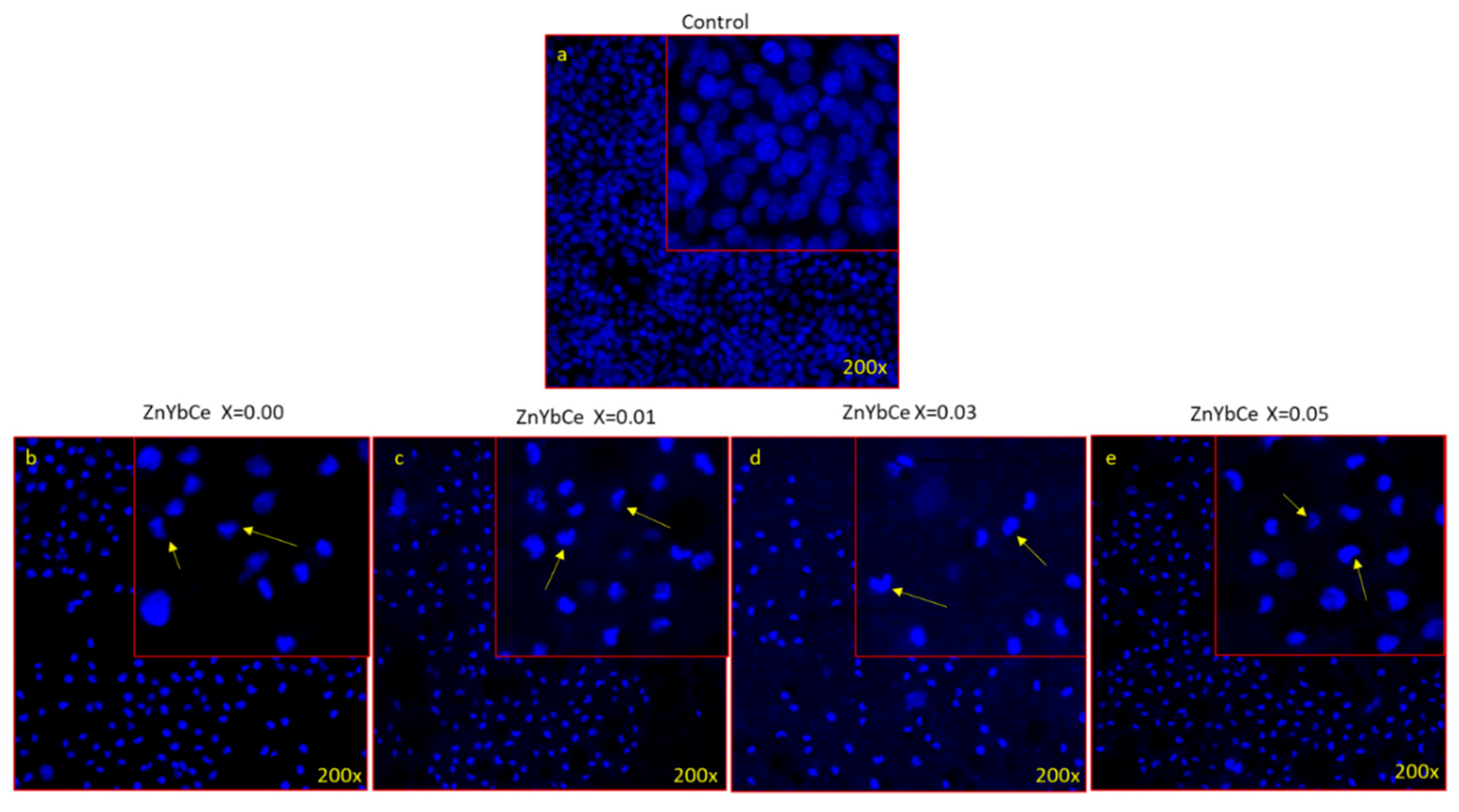 Biology 11 01836 g009 Biology 11 01836 g009