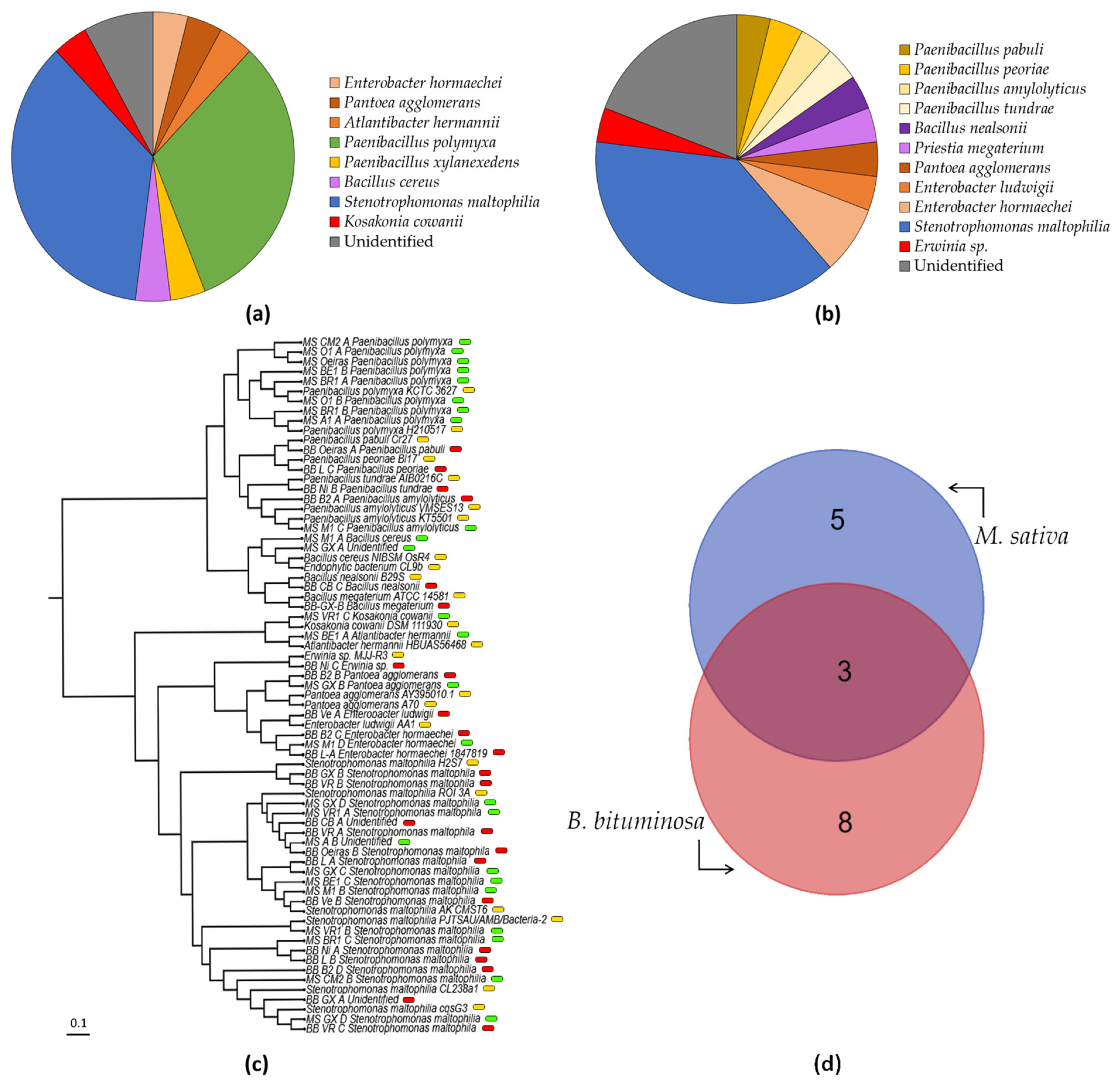 Biology 11 01838 g004