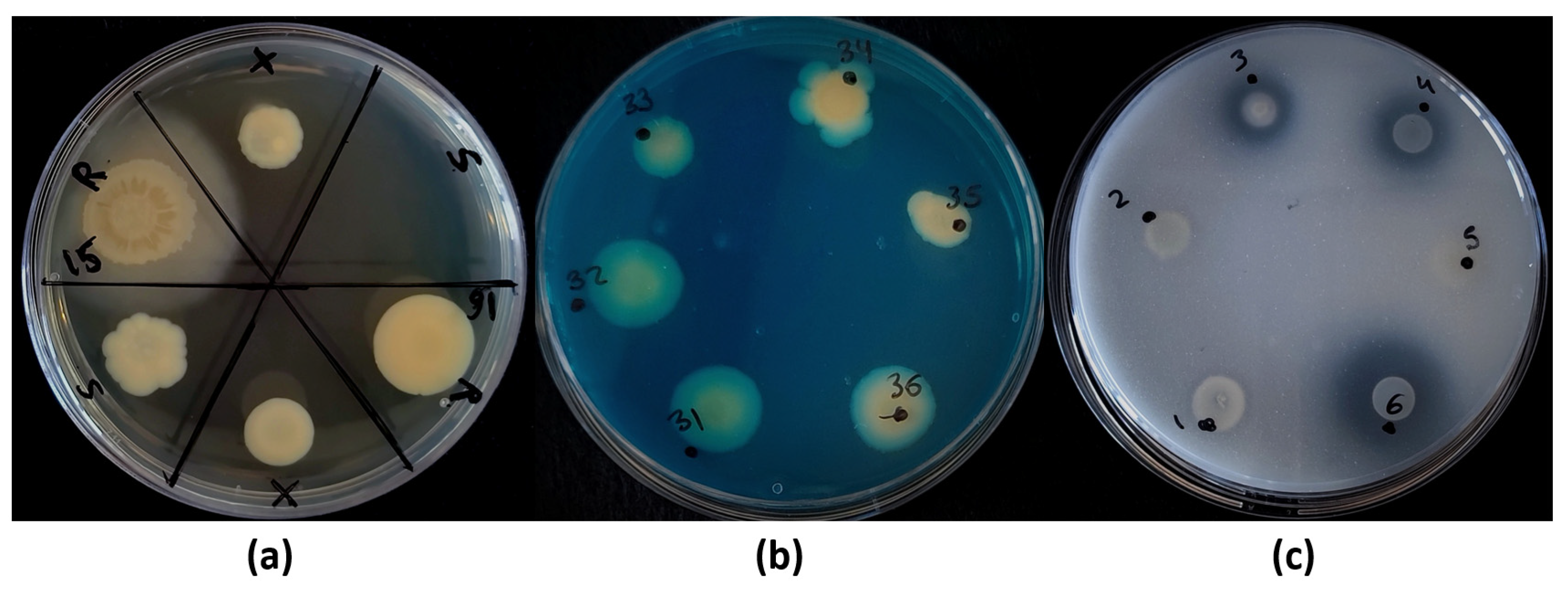 Biology 11 01838 g006