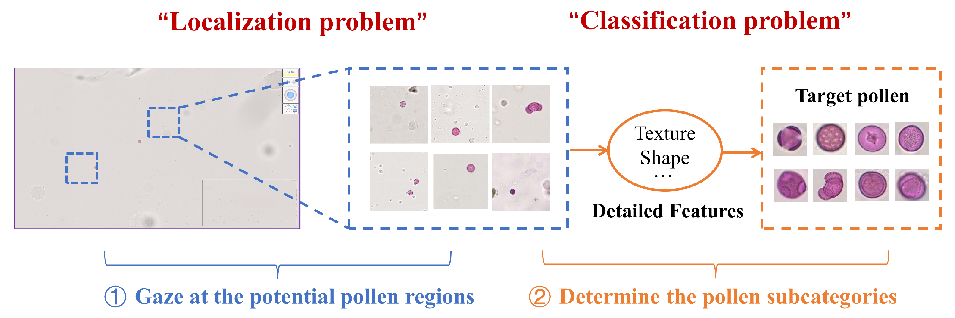 Biology 11 01841 g001 Biology 11 01841 g001