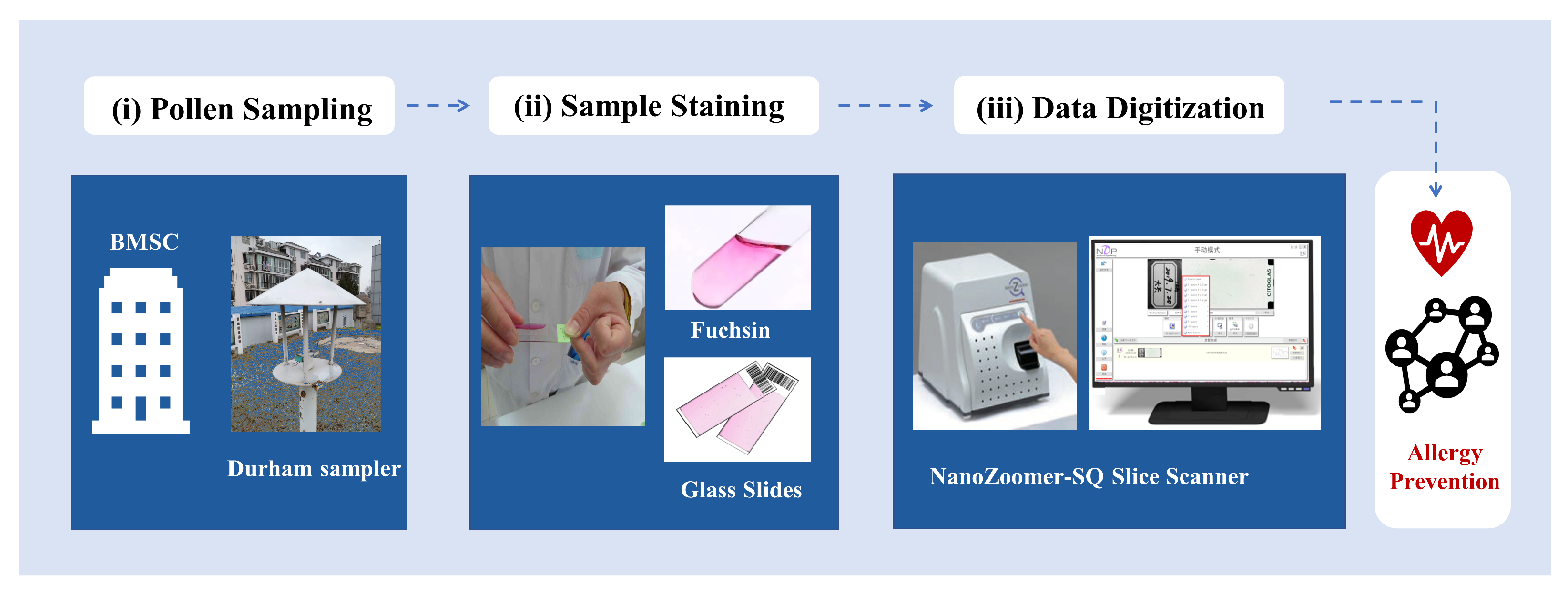 Biology 11 01841 g002 Biology 11 01841 g002