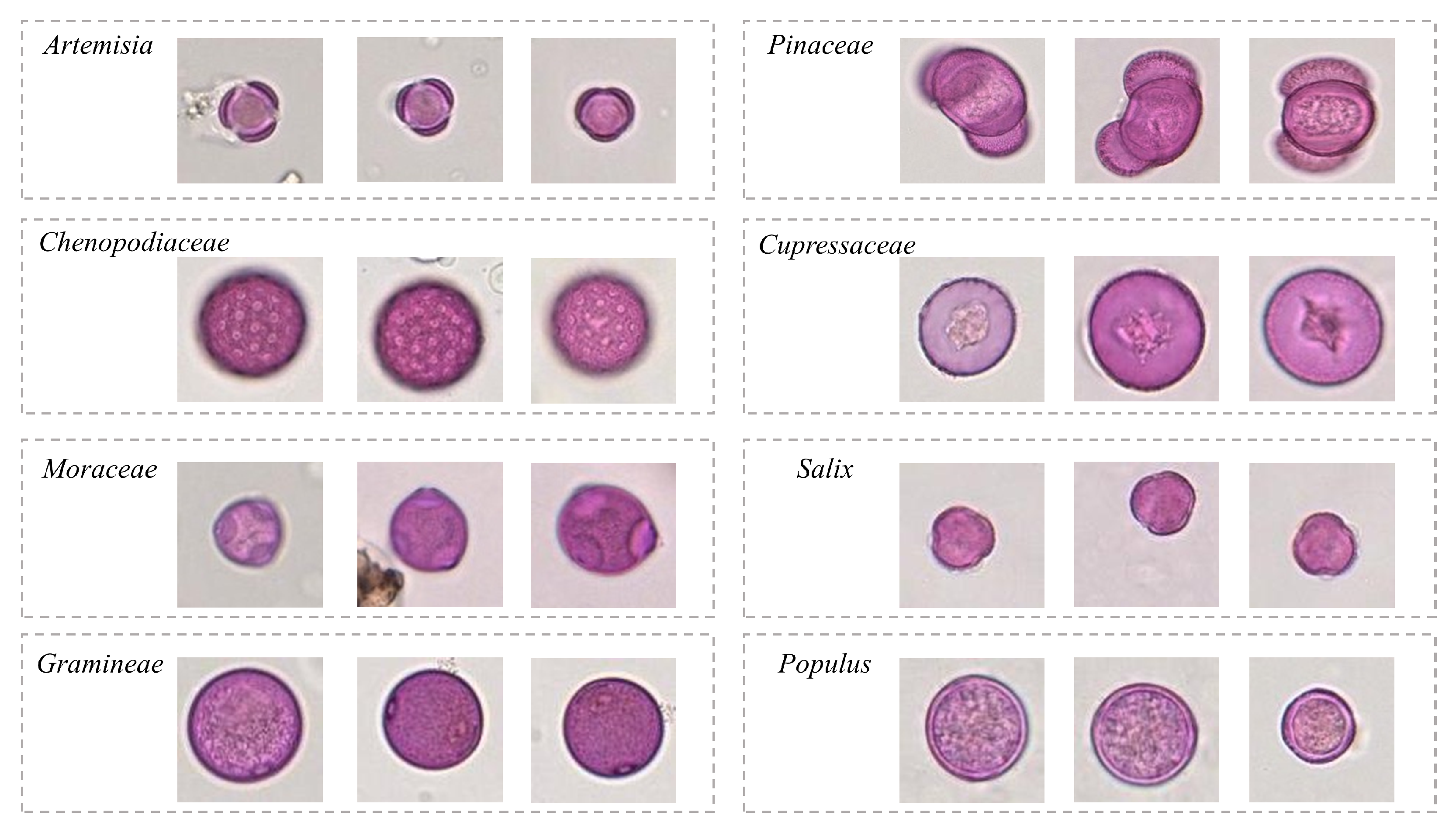 Biology 11 01841 g003 Biology 11 01841 g003