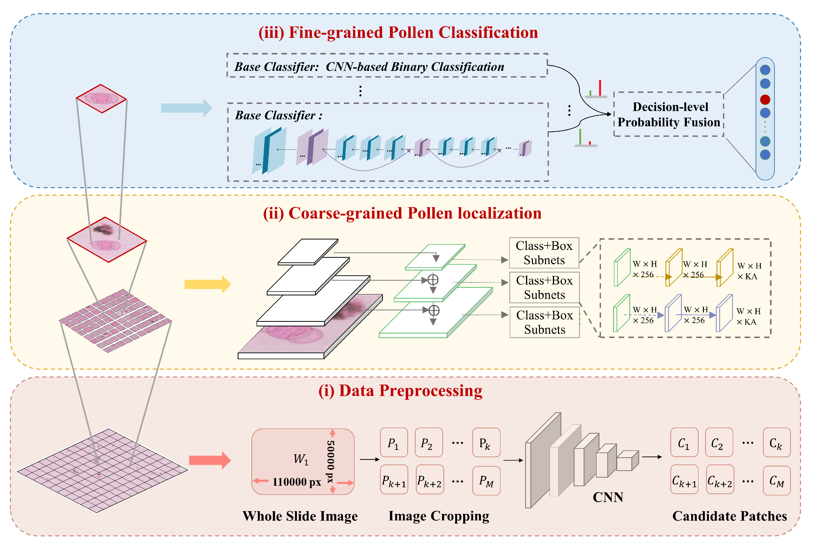 Biology 11 01841 g005 Biology 11 01841 g005
