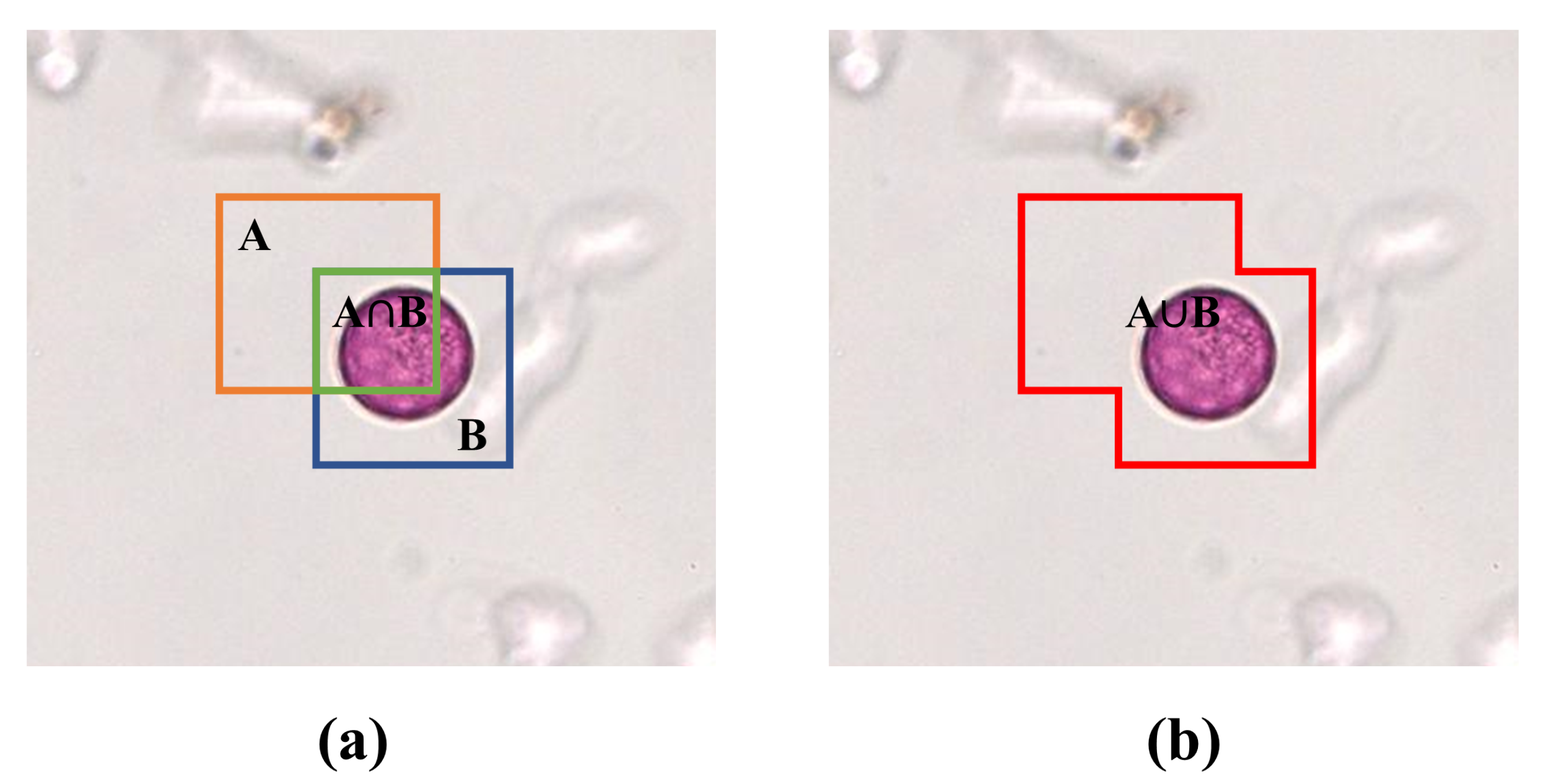 Biology 11 01841 g007 Biology 11 01841 g007