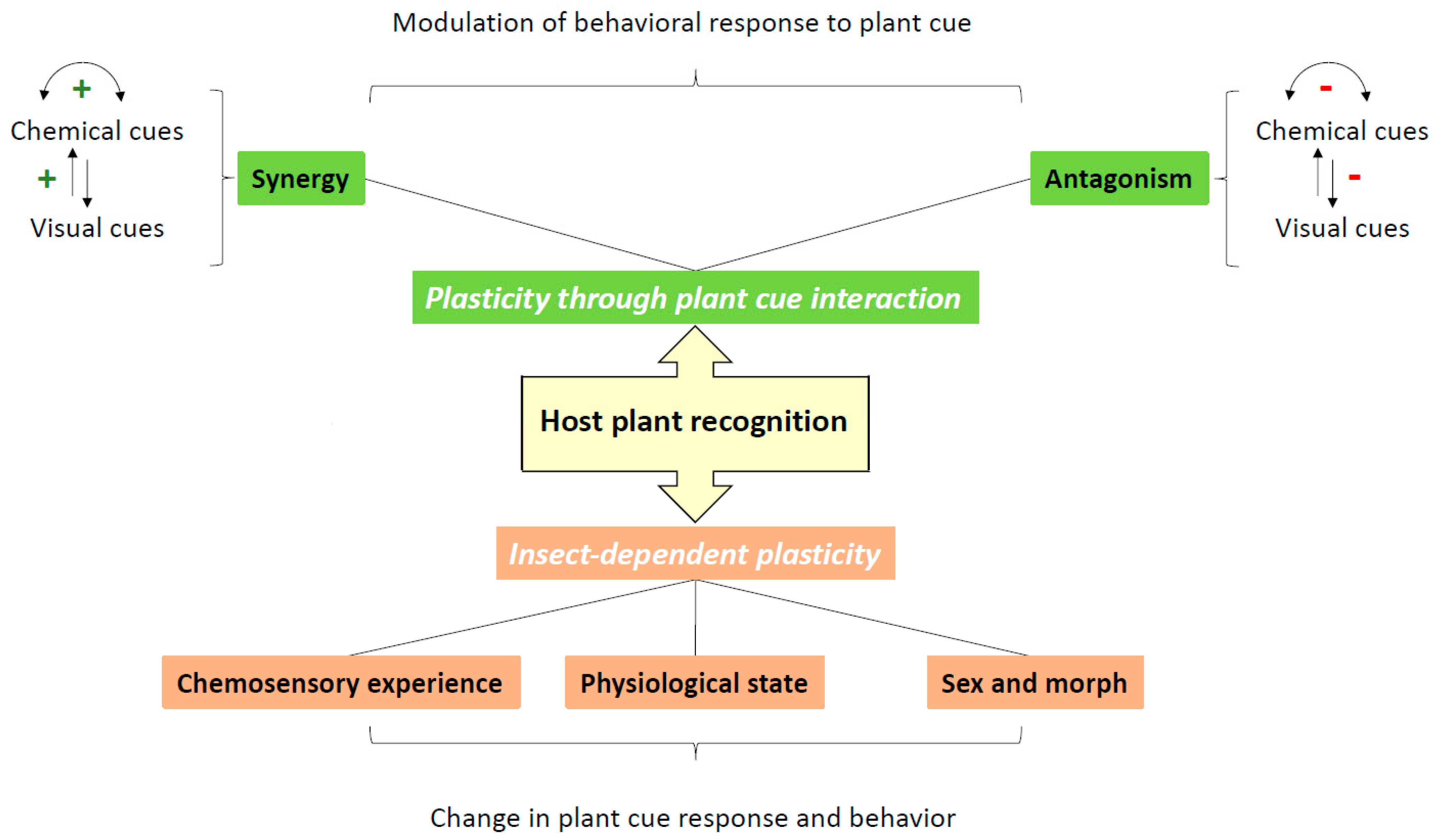 Biology 11 01842 g002