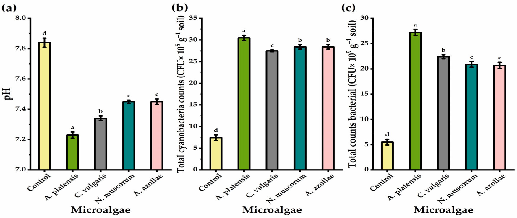 Biology 11 01844 g002 Biology 11 01844 g002