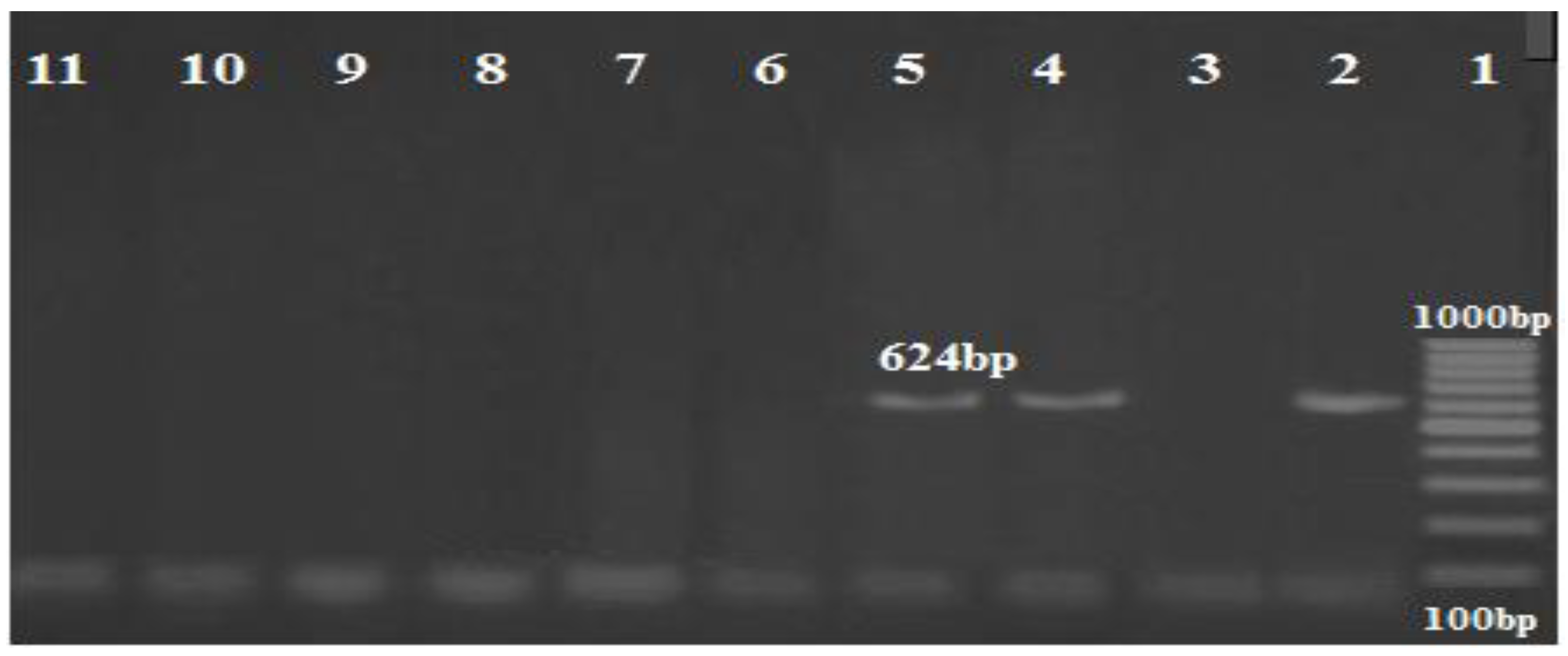Biology 11 01845 g005