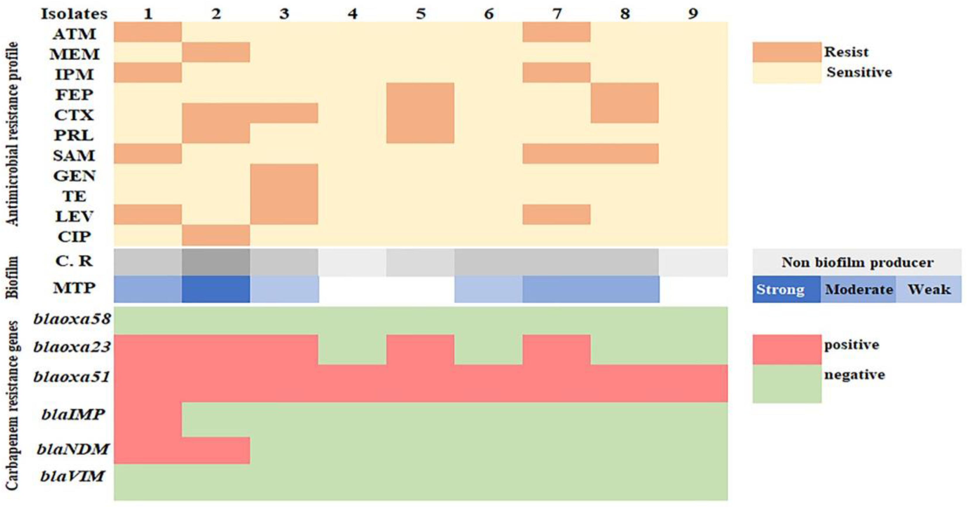 Biology 11 01845 g006