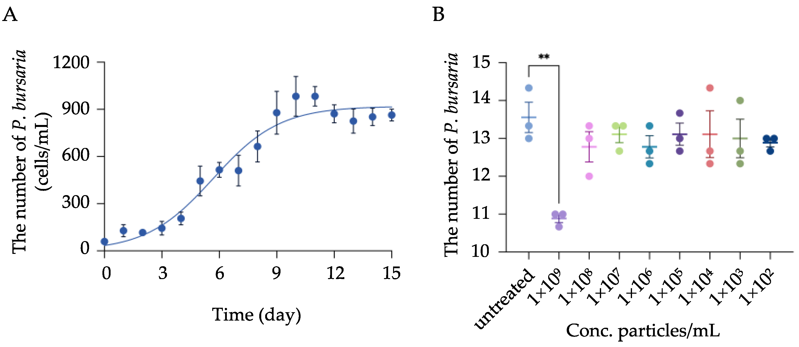 Biology 11 01852 g001