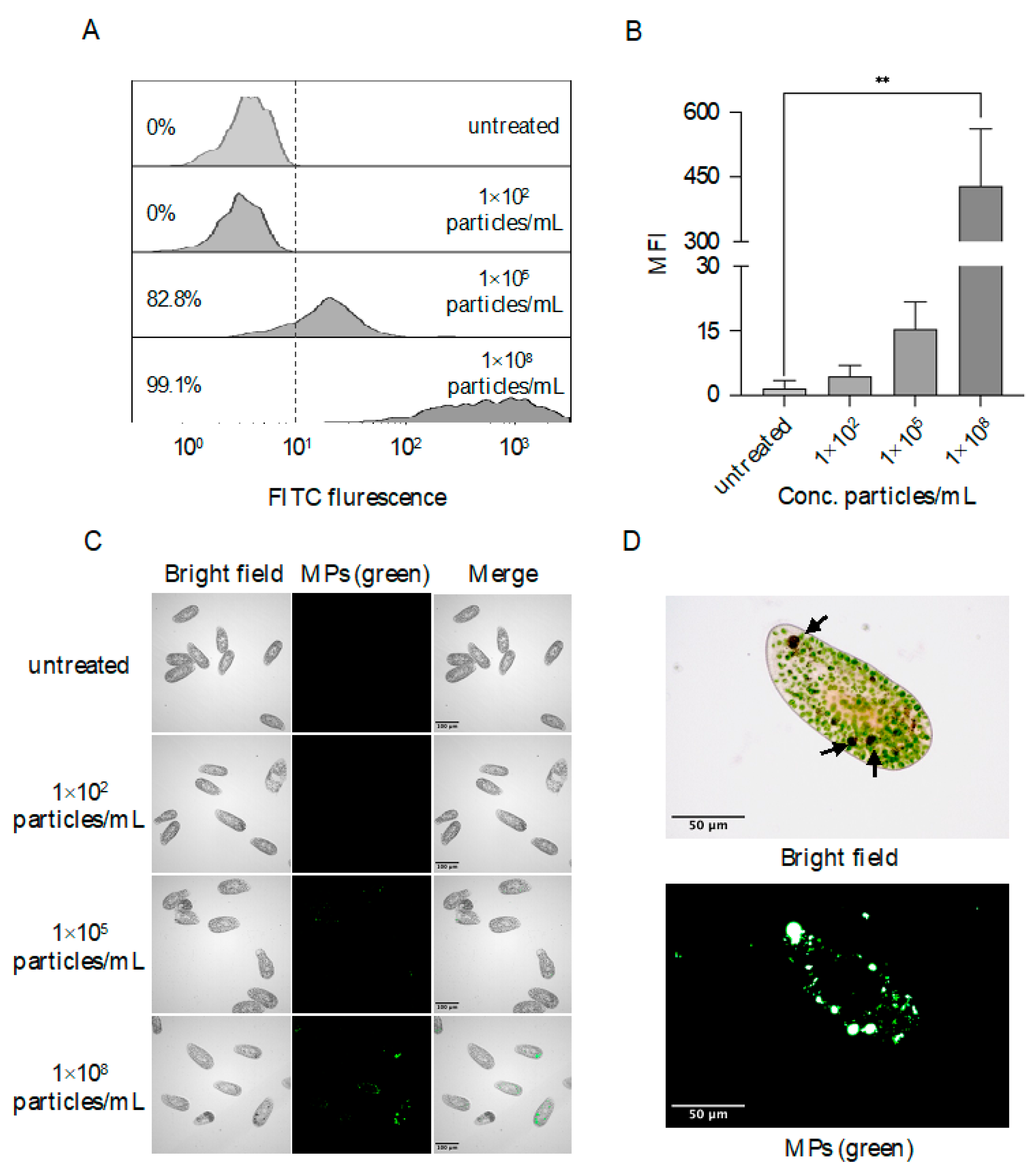 Biology 11 01852 g002