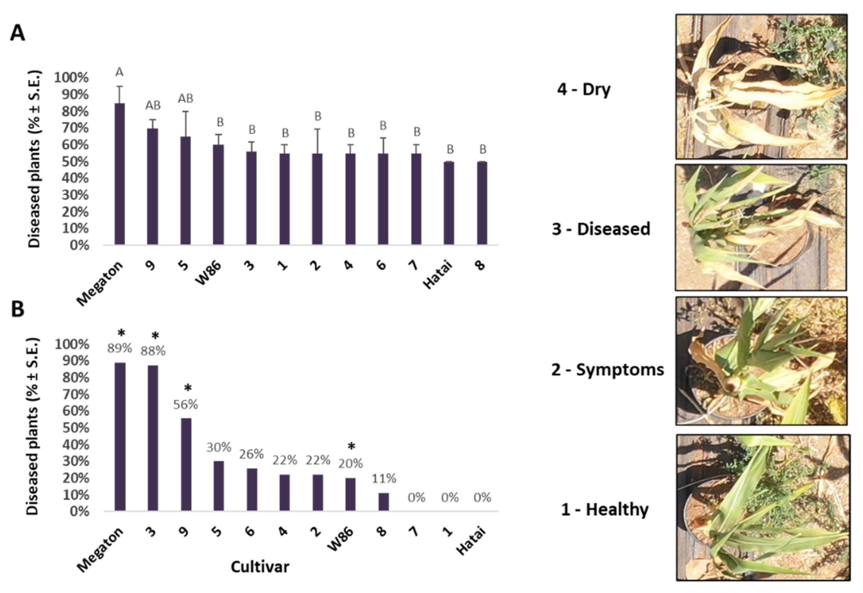 Biology 11 01854 g008