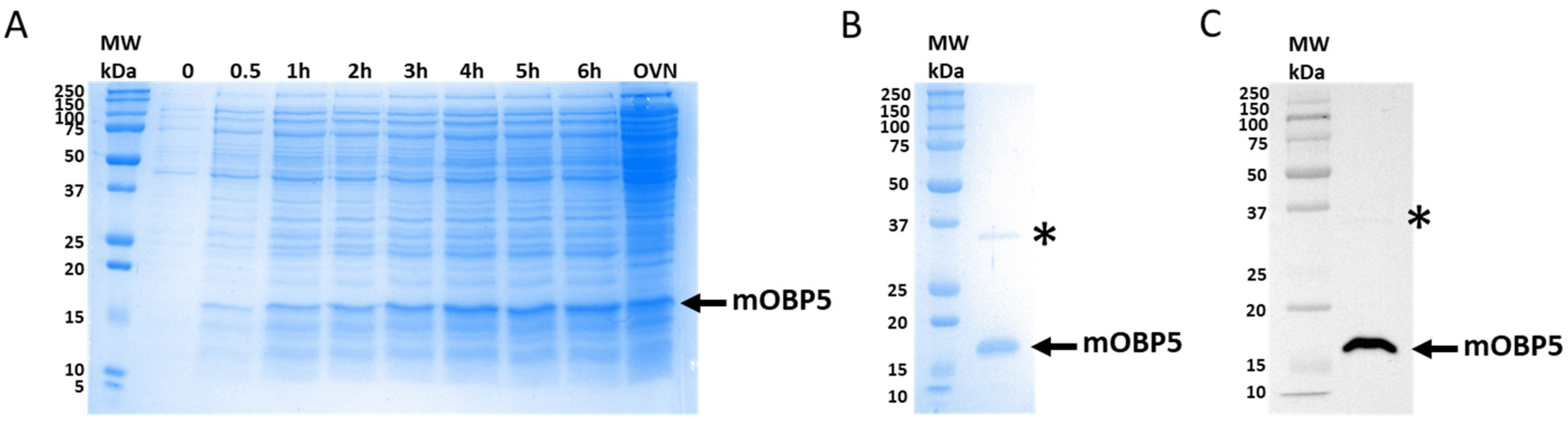 Biology 12 00002 g001