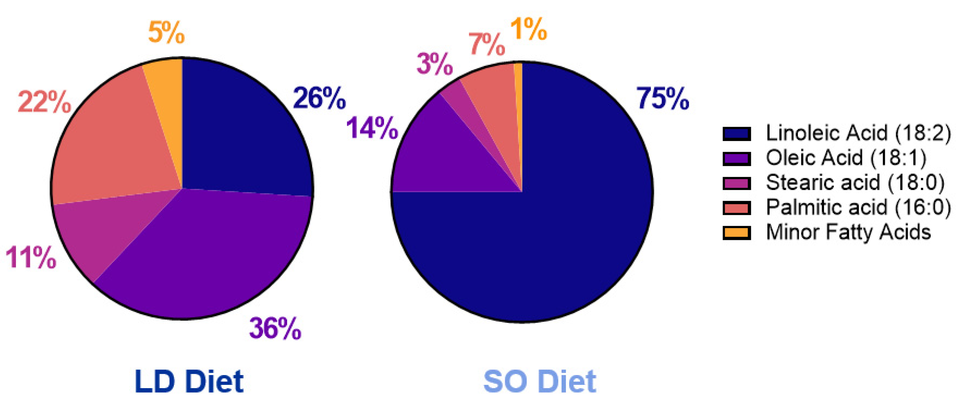 Biology 12 00009 g001