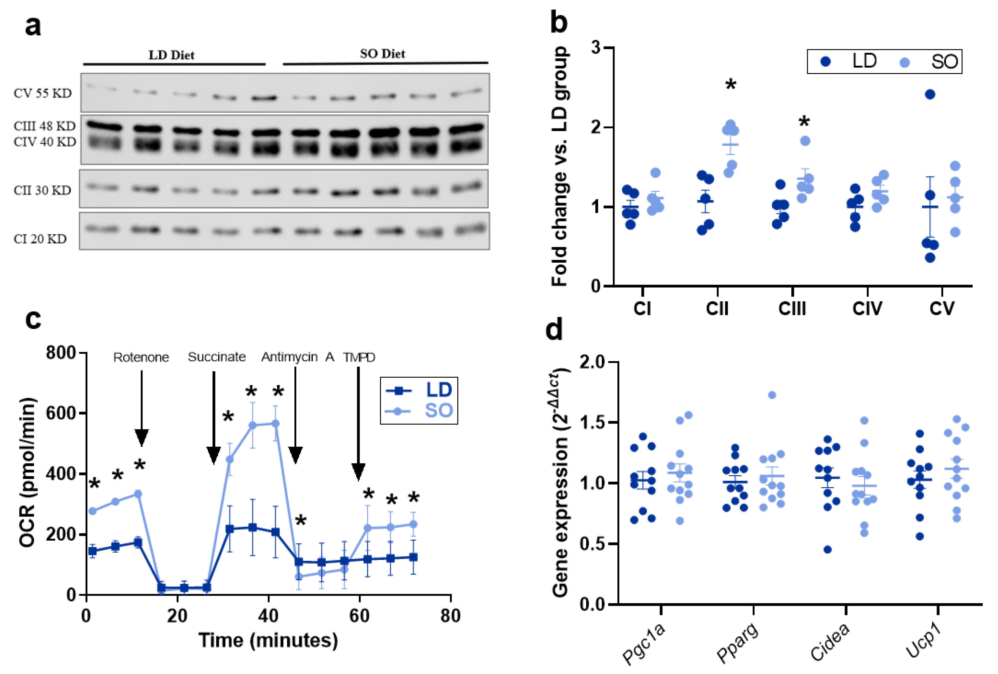 Biology 12 00009 g004