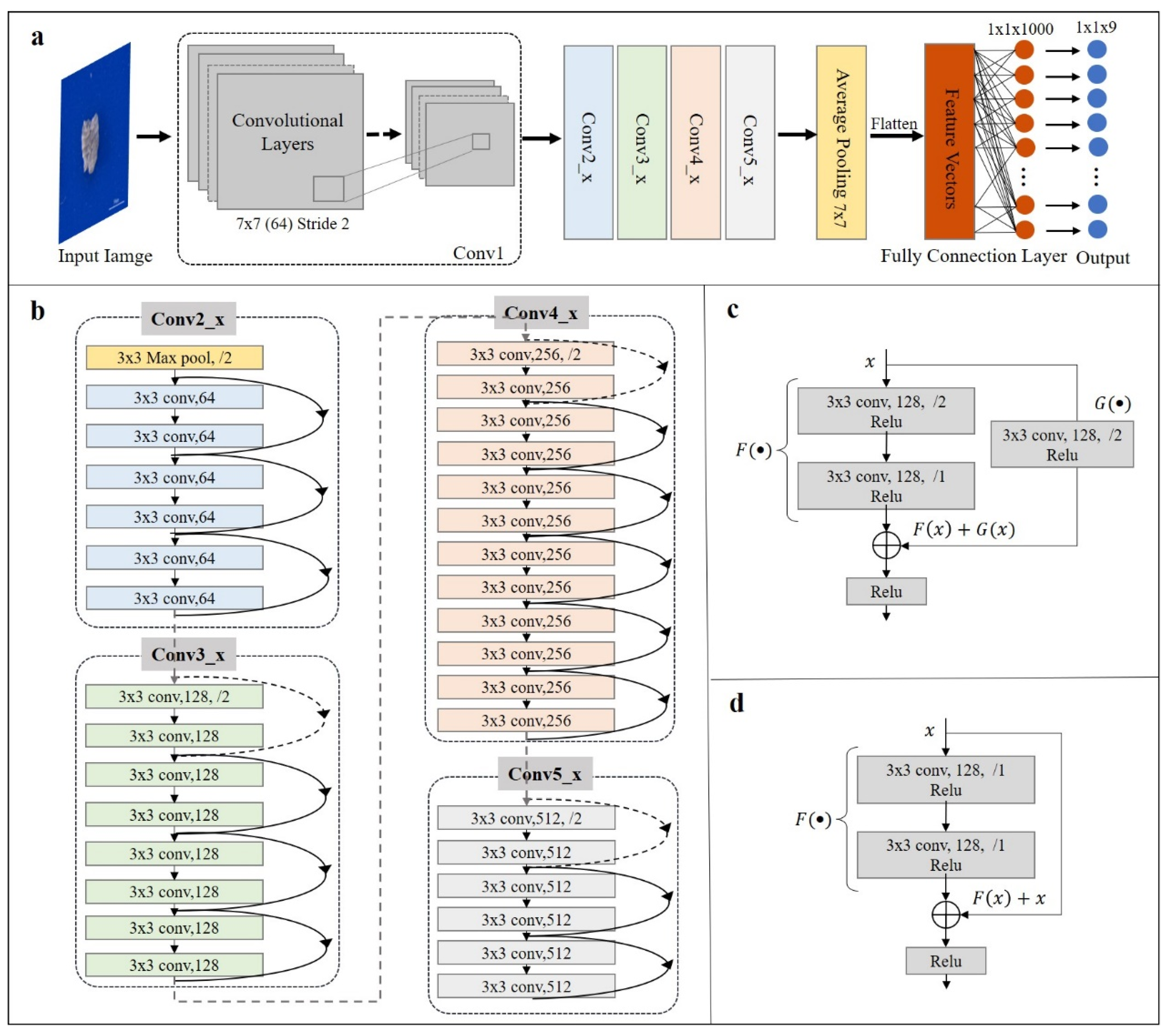 Biology 12 00016 g004