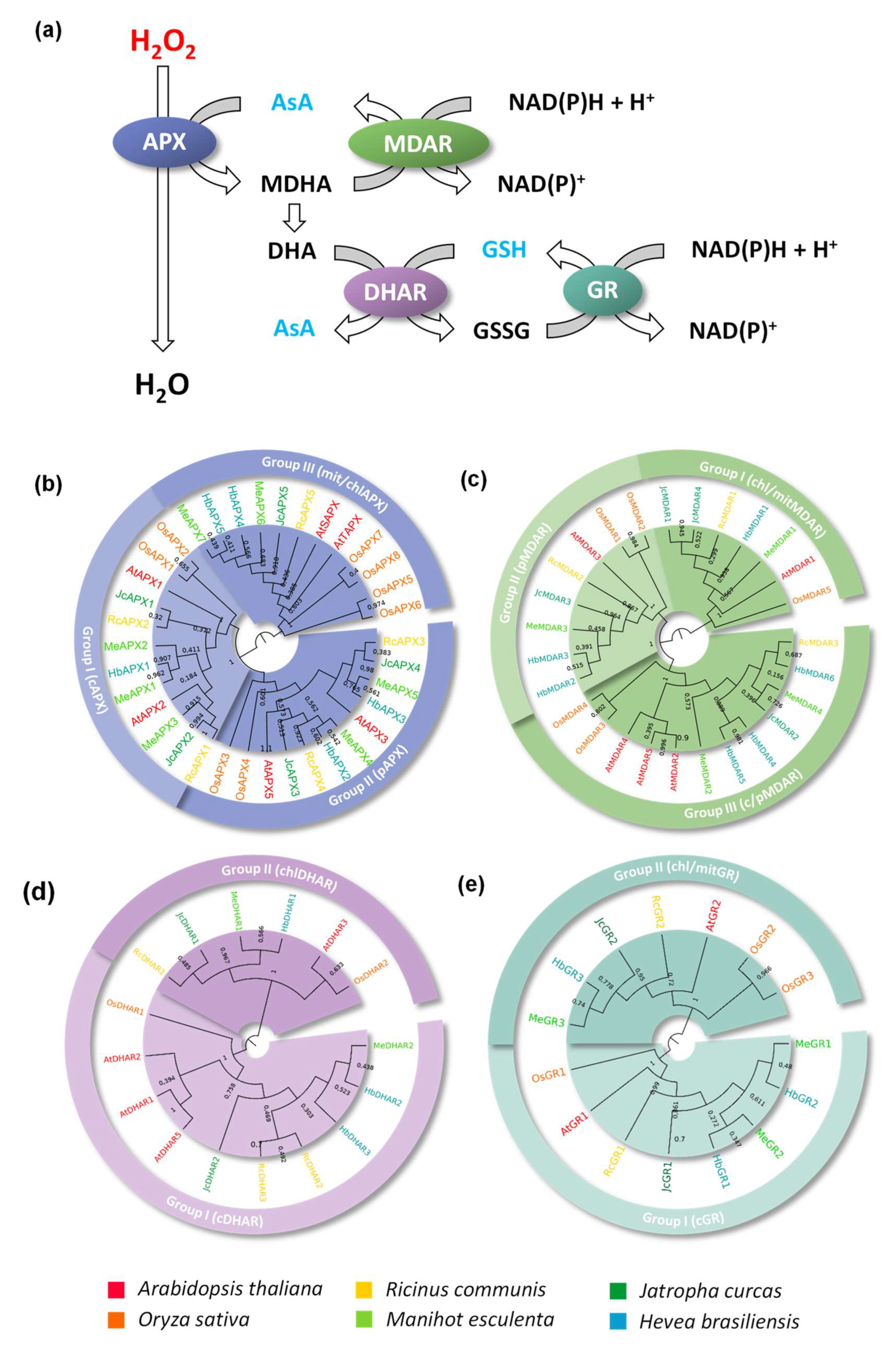 Biology 12 00019 g001