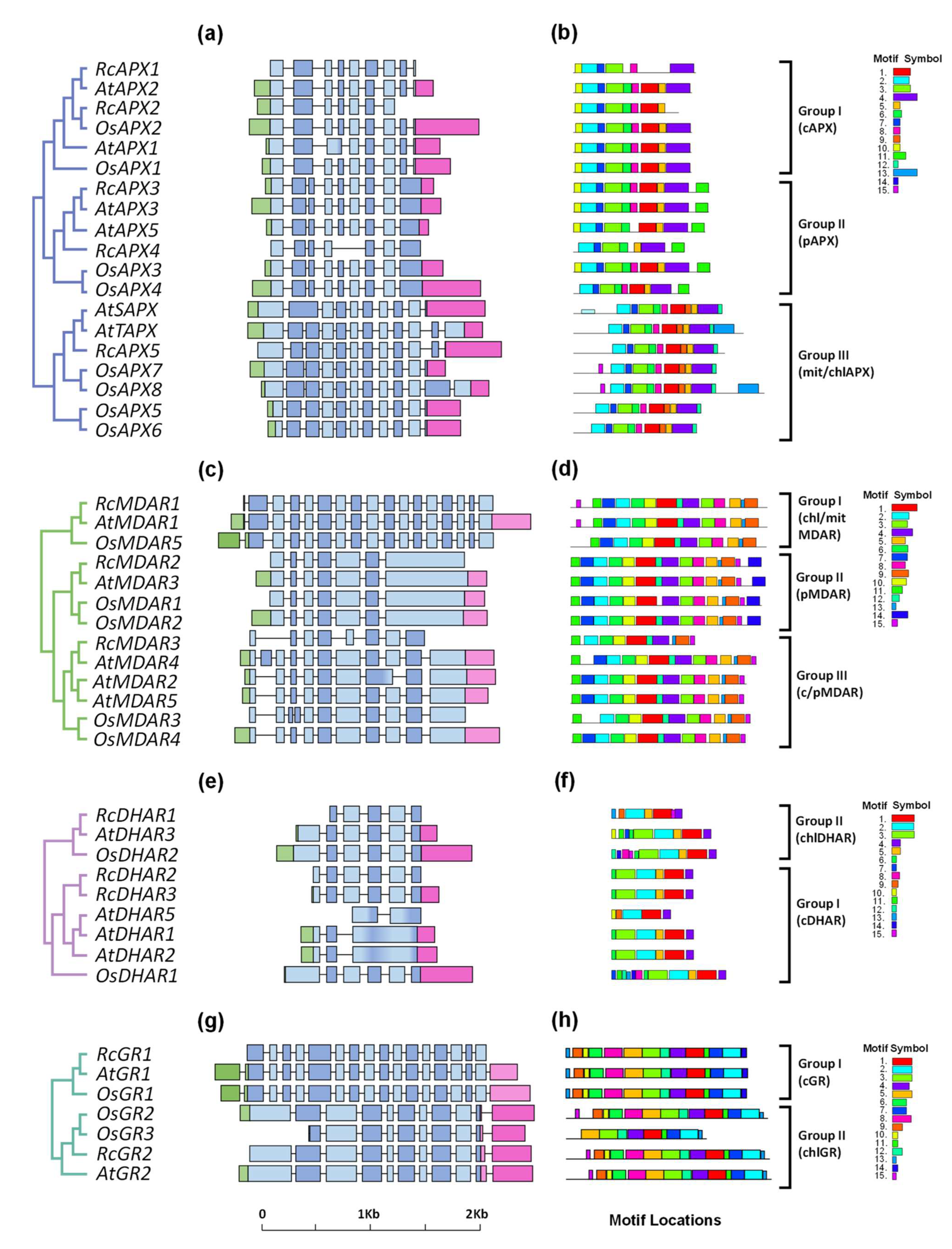 Biology 12 00019 g003