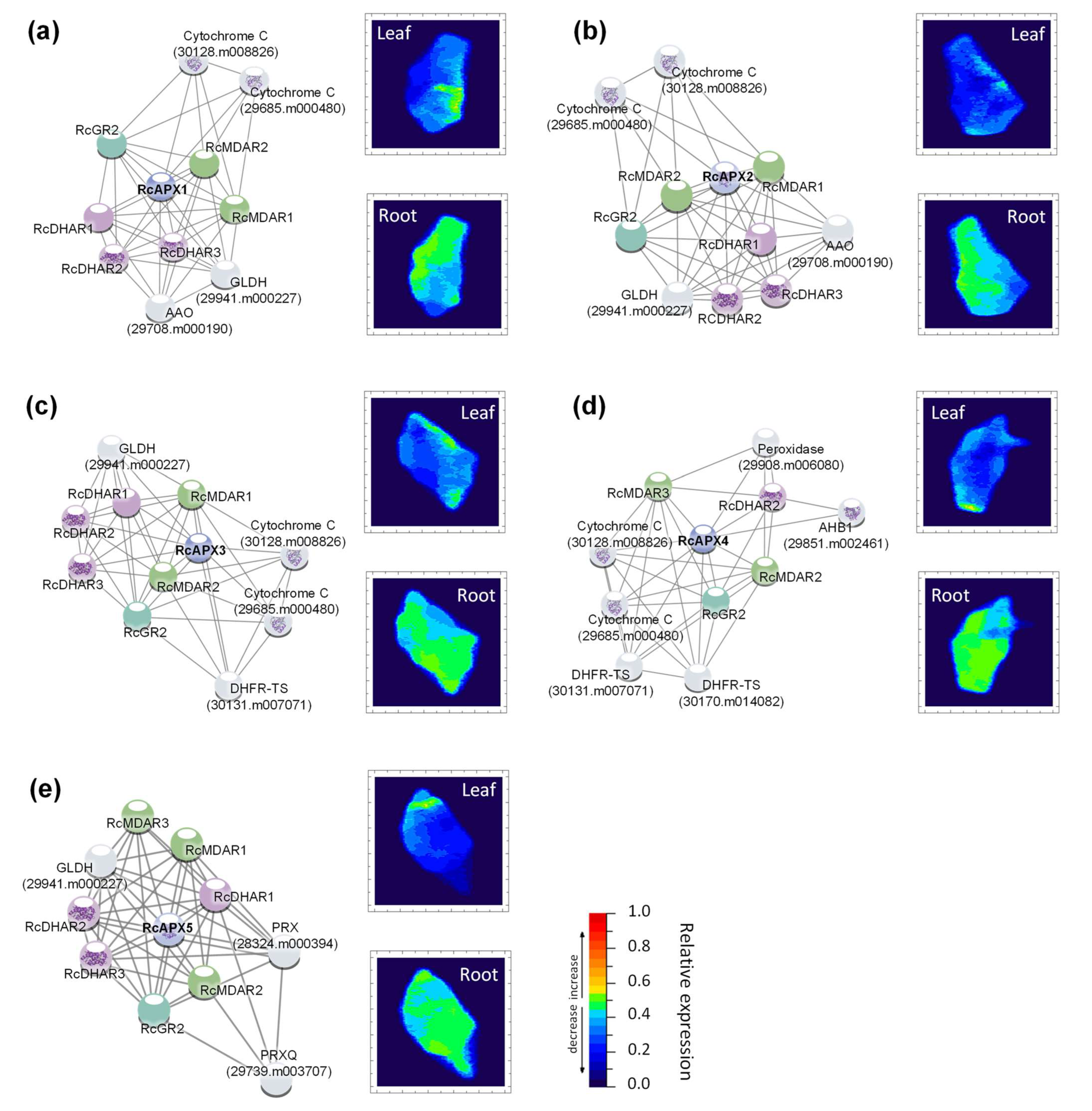 Biology 12 00019 g007
