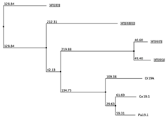 Biology 12 00020 i055 Biology 12 00020 i055