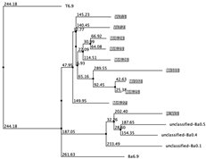 Biology 12 00020 i056 Biology 12 00020 i056