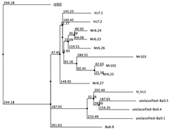 Biology 12 00020 i057 Biology 12 00020 i057