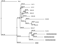 Biology 12 00020 i058 Biology 12 00020 i058