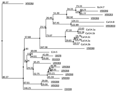 Biology 12 00020 i063 Biology 12 00020 i063