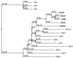 Biology 12 00020 i064 Biology 12 00020 i064