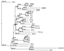 Biology 12 00020 i066 Biology 12 00020 i066