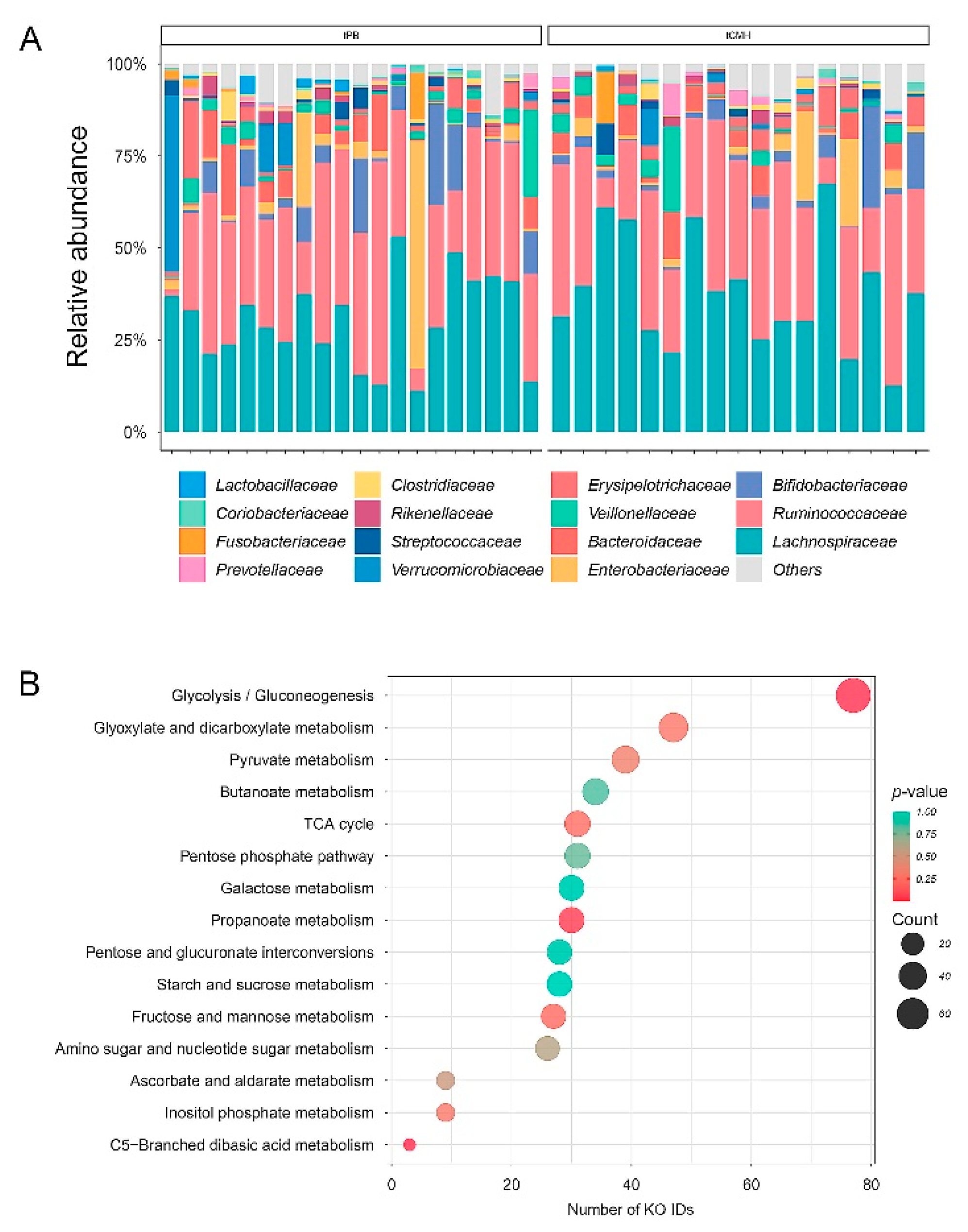 Biology 12 00021 g001
