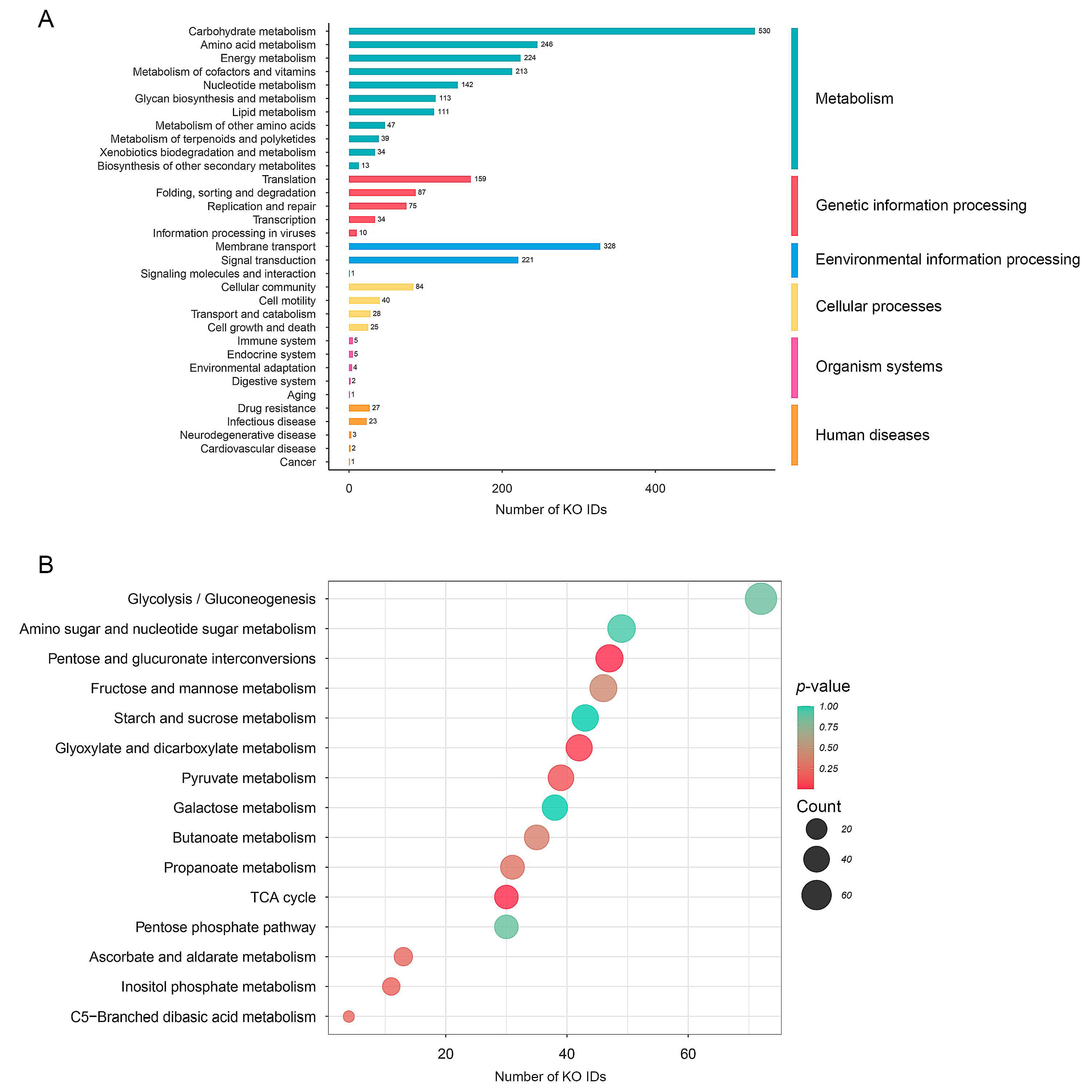 Biology 12 00021 g005