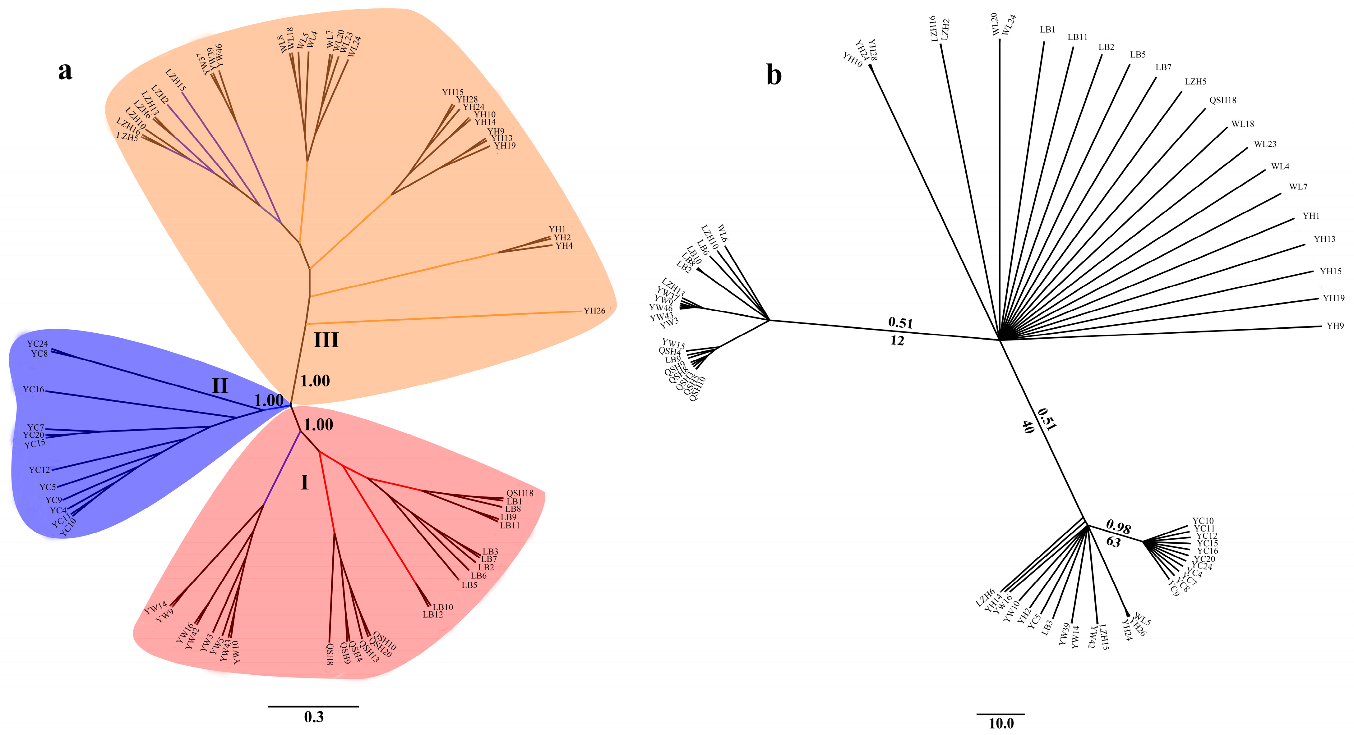 Biology 12 00029 g003